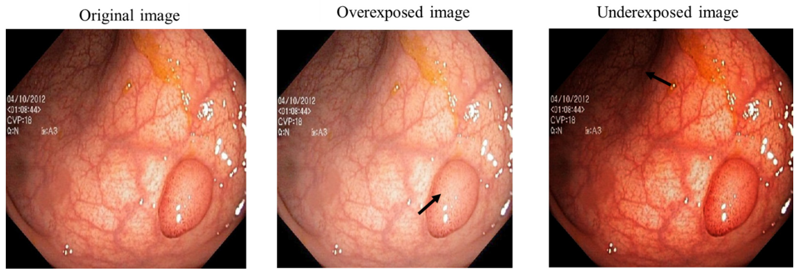 Jimaging 10 00028 g002