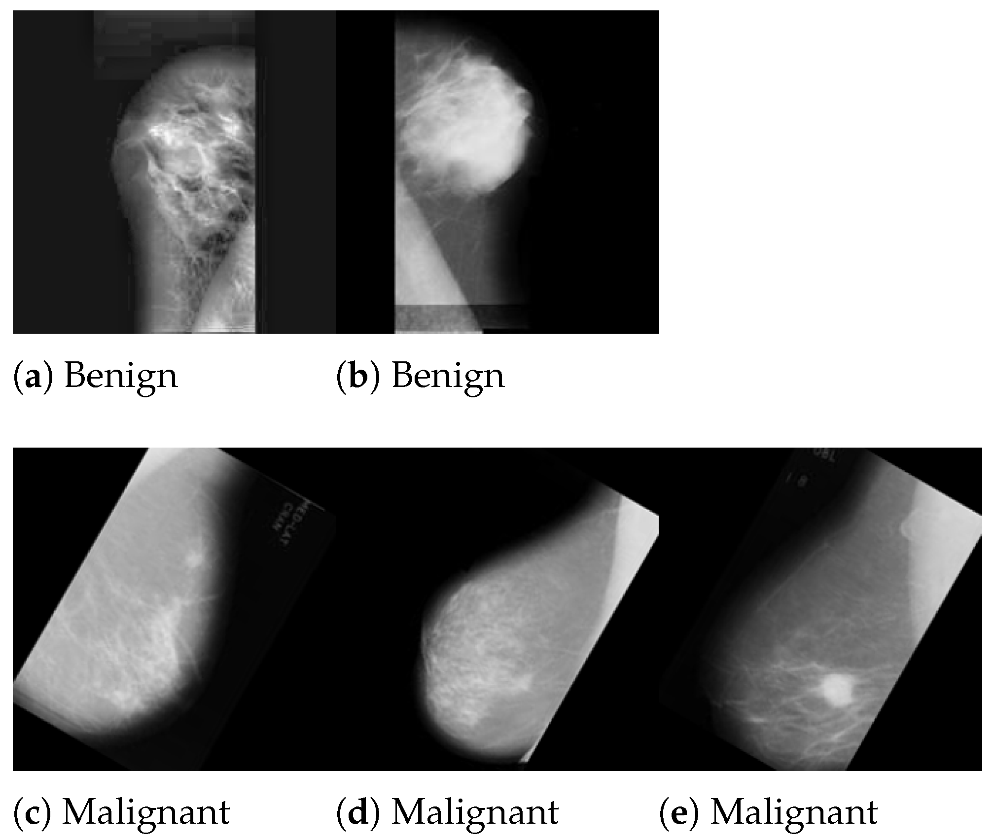 Jimaging 10 00030 g002