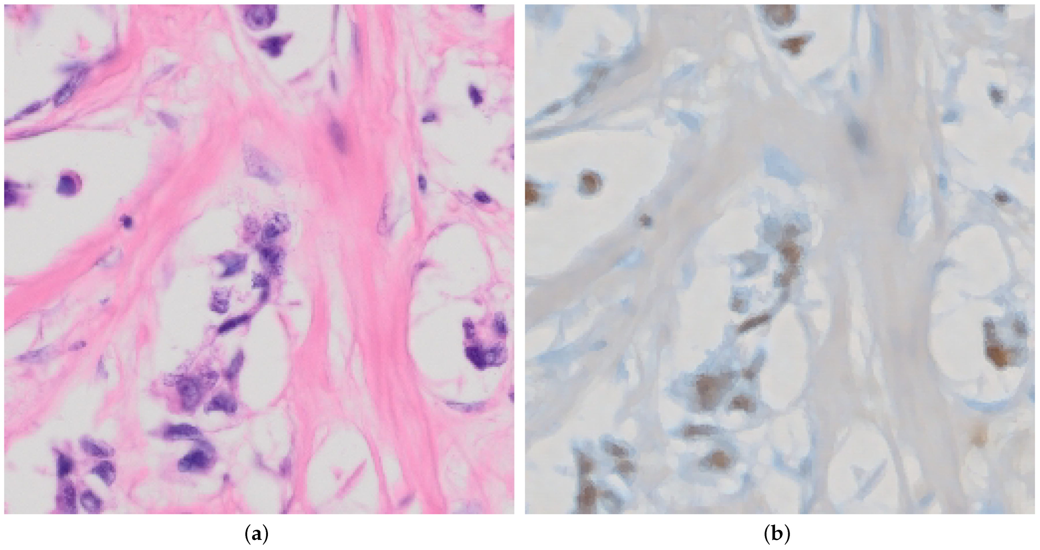 Jimaging 10 00032 g006