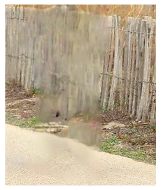 Jimaging 10 00042 g016