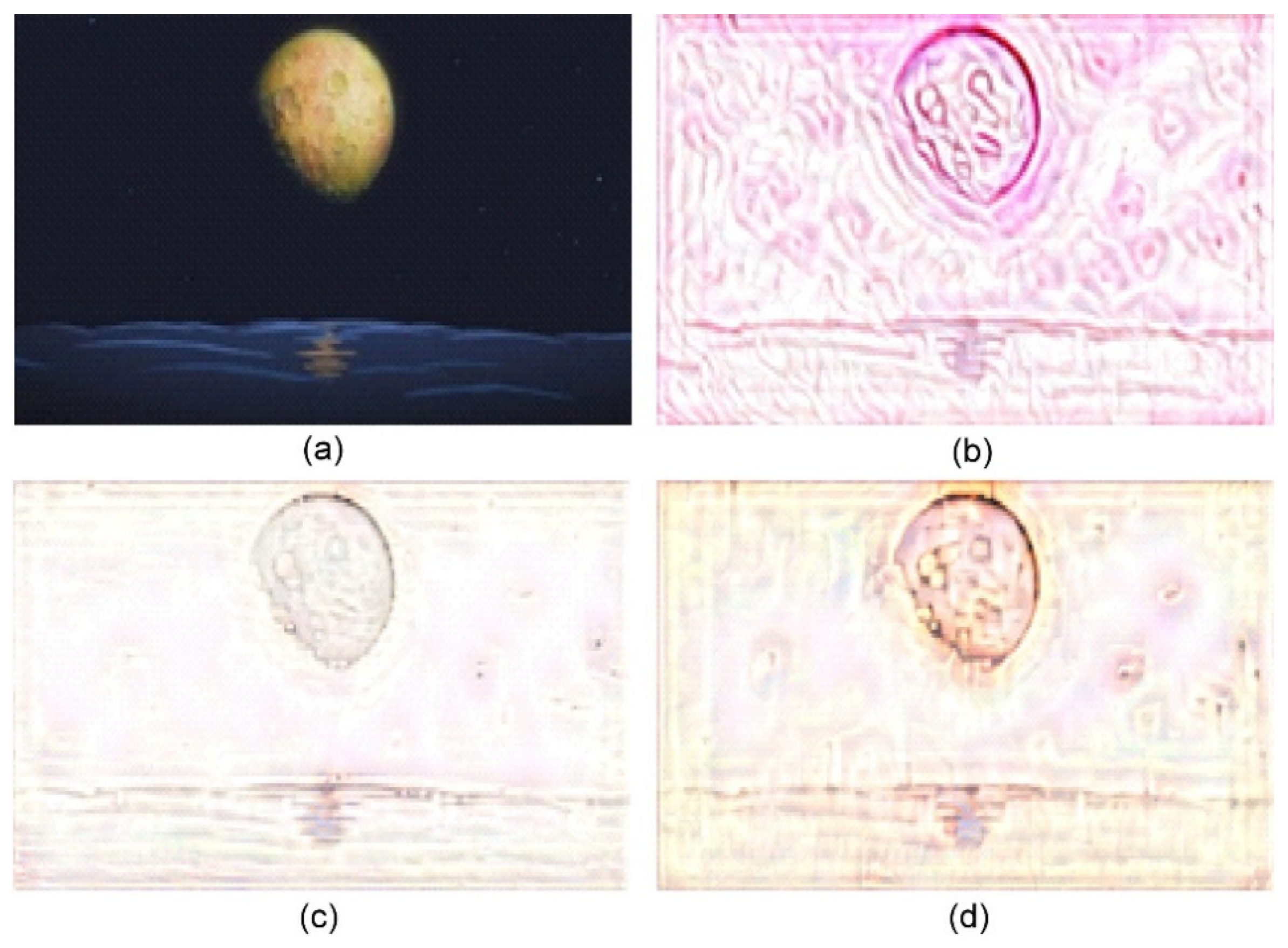 Jimaging 10 00044 g007