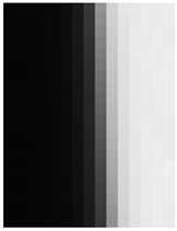 Jimaging 10 00049 i002