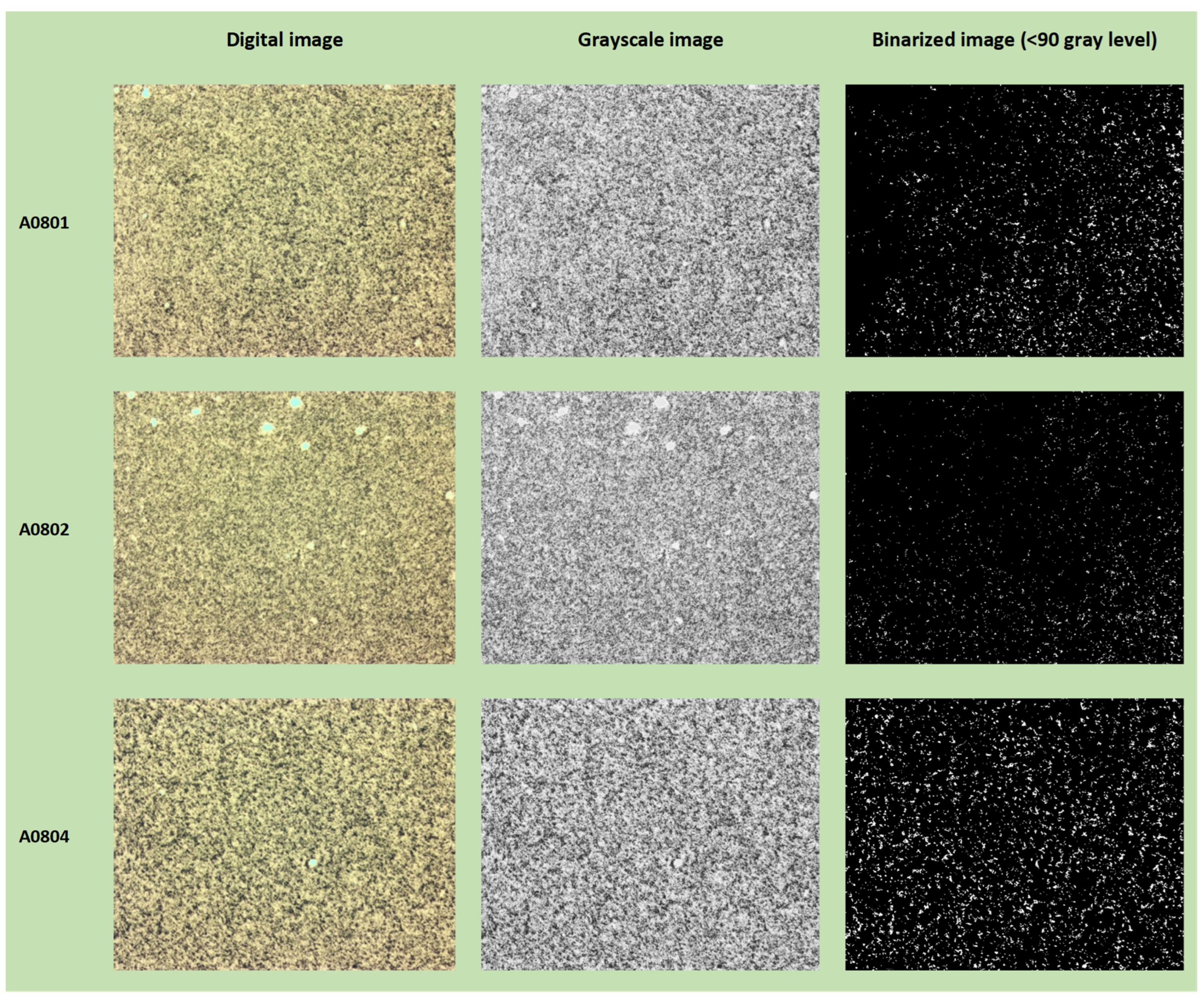 Jimaging 10 00053 g015