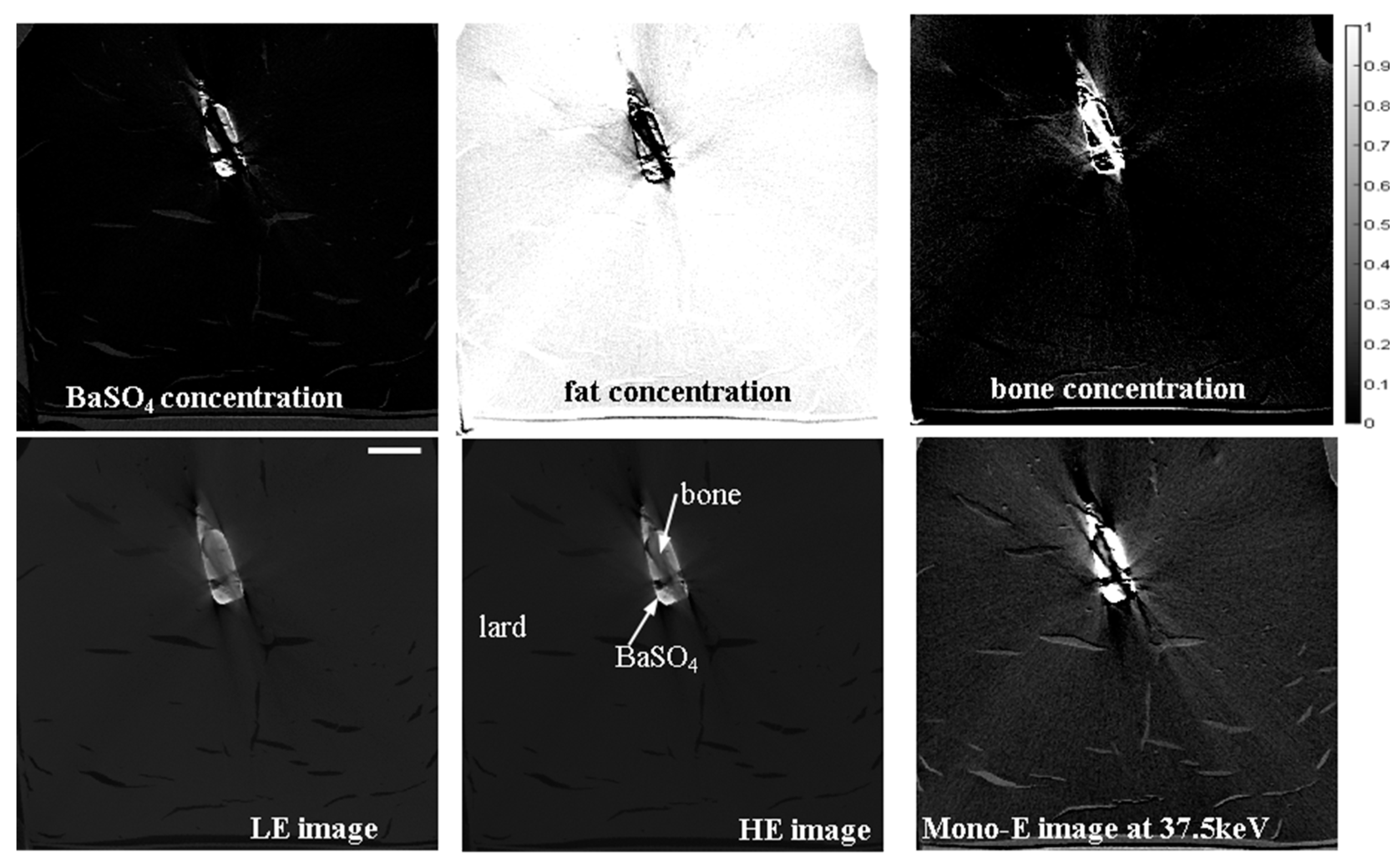 Jimaging 10 00060 g001