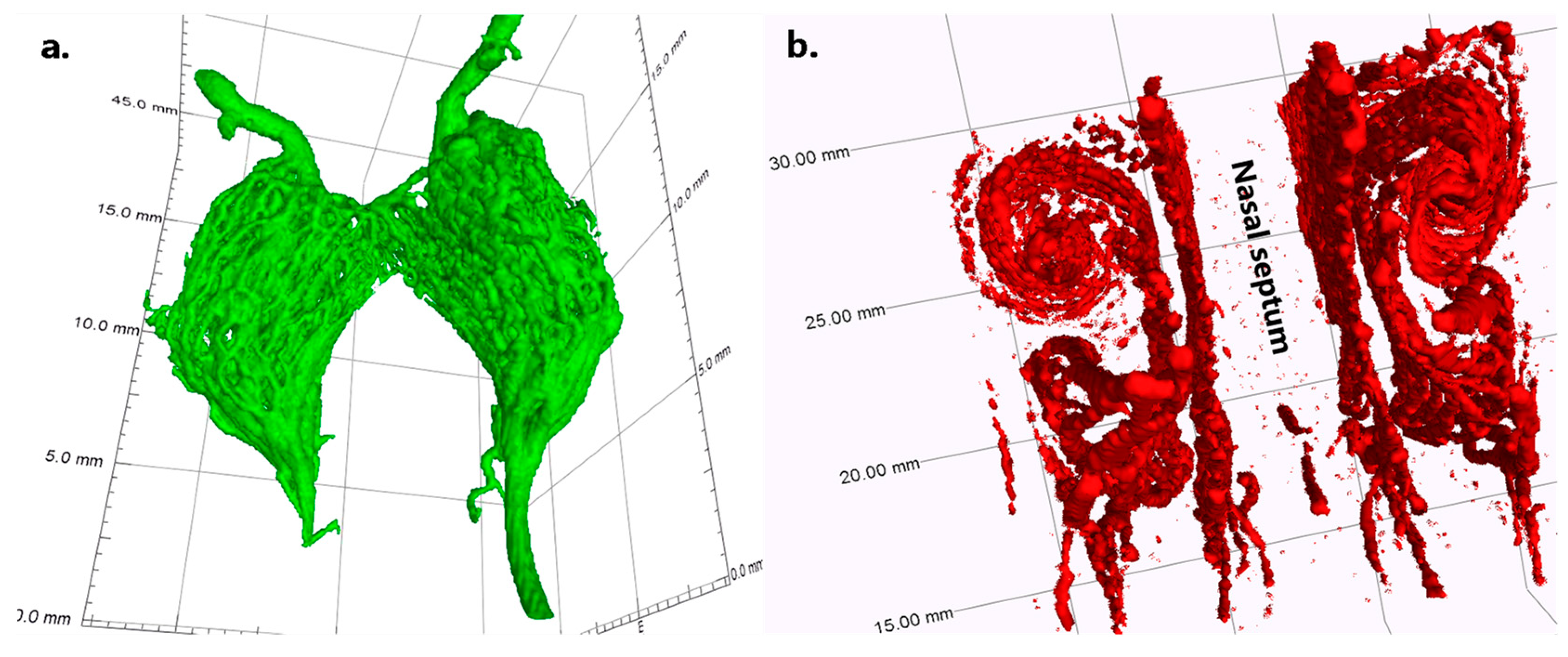 Jimaging 10 00060 g004