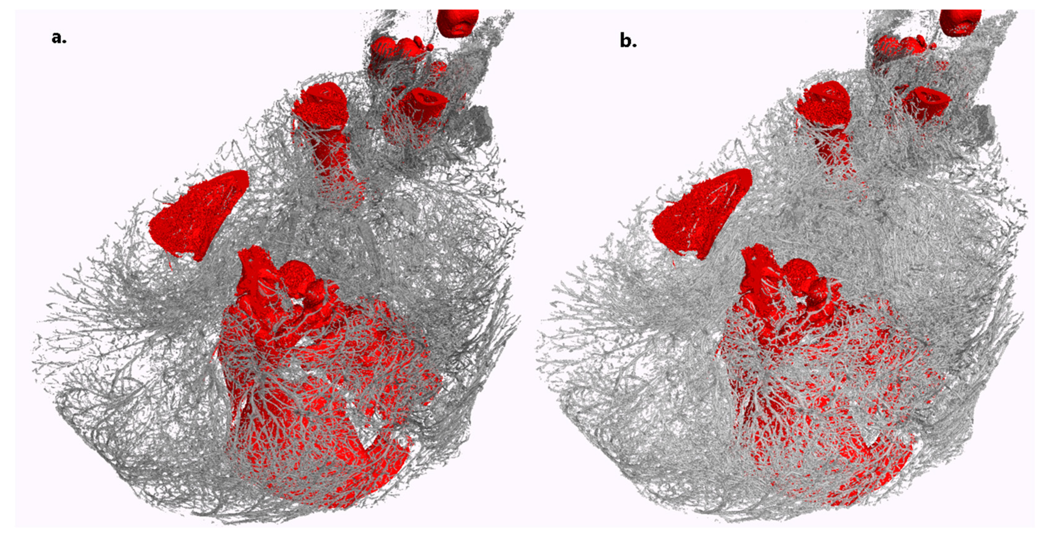 Jimaging 10 00060 g006