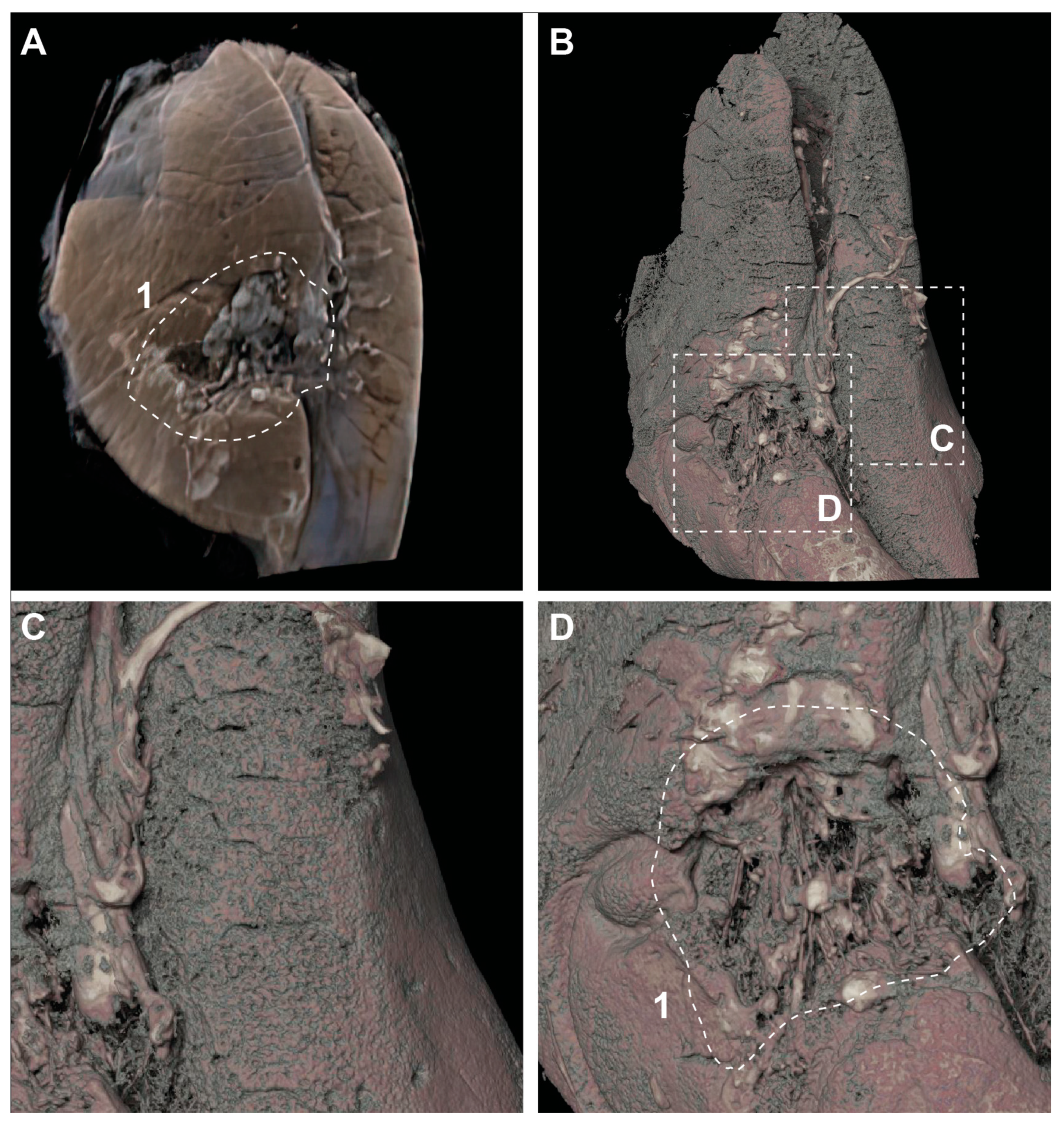 Jimaging 10 00060 g0a2