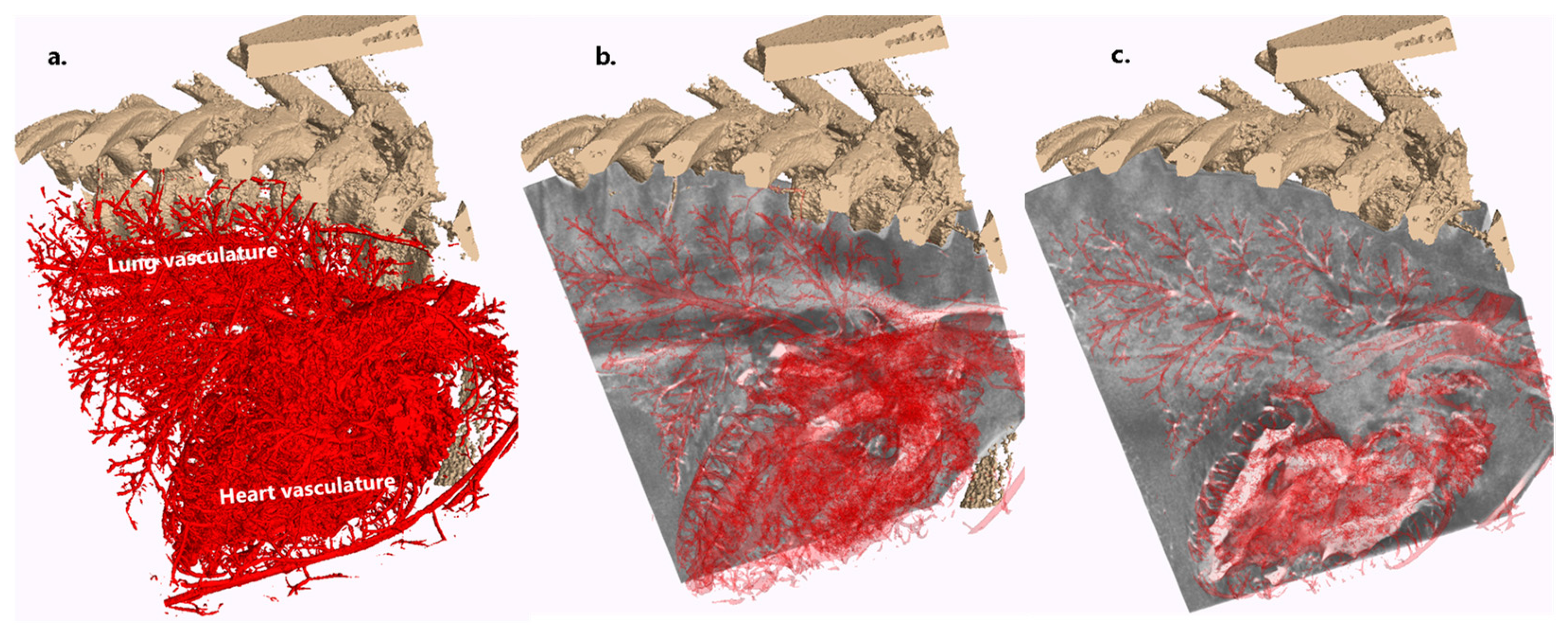 Jimaging 10 00060 g0a3