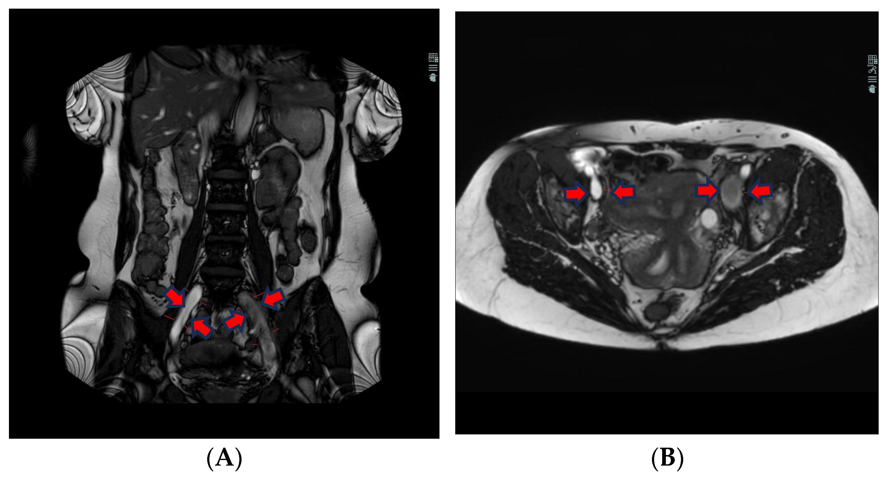 Jimaging 10 00066 g001