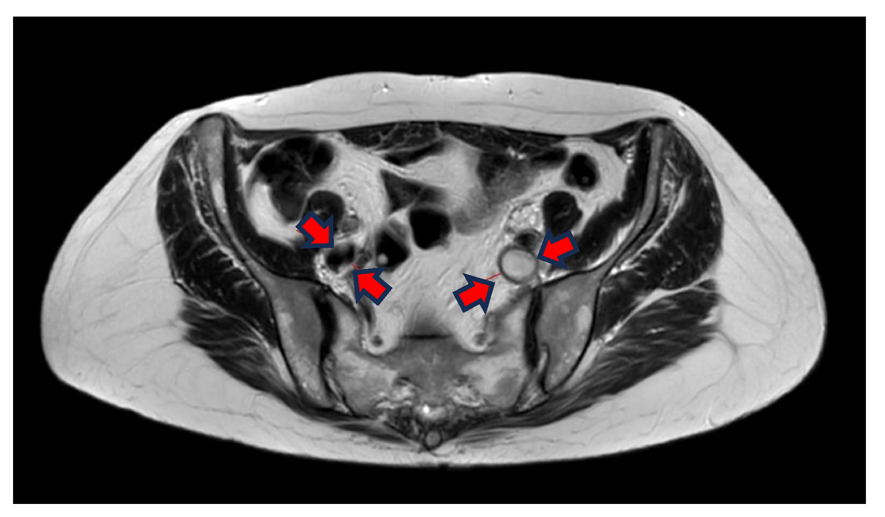 Jimaging 10 00066 g002