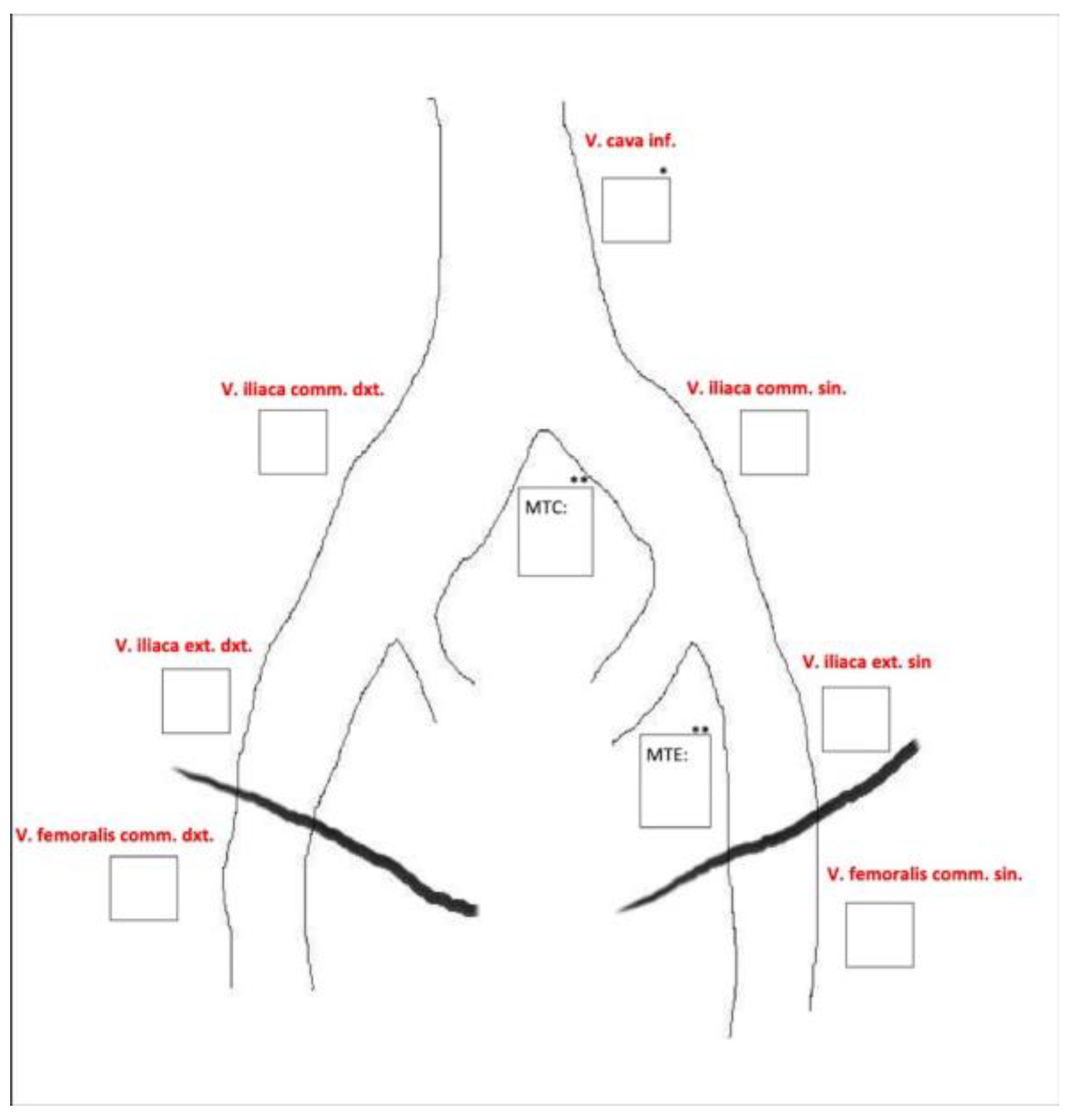Jimaging 10 00066 g003