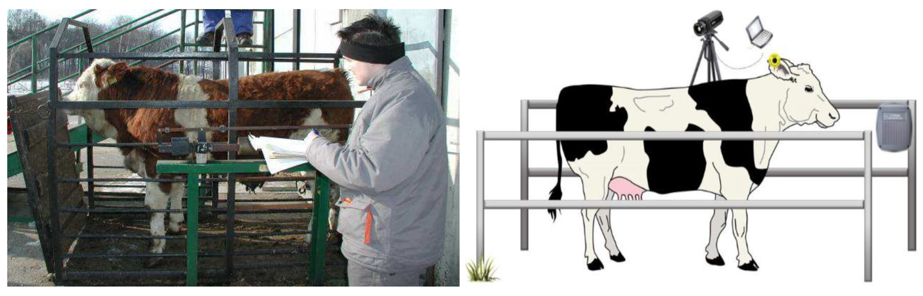 Jimaging 10 00072 g001