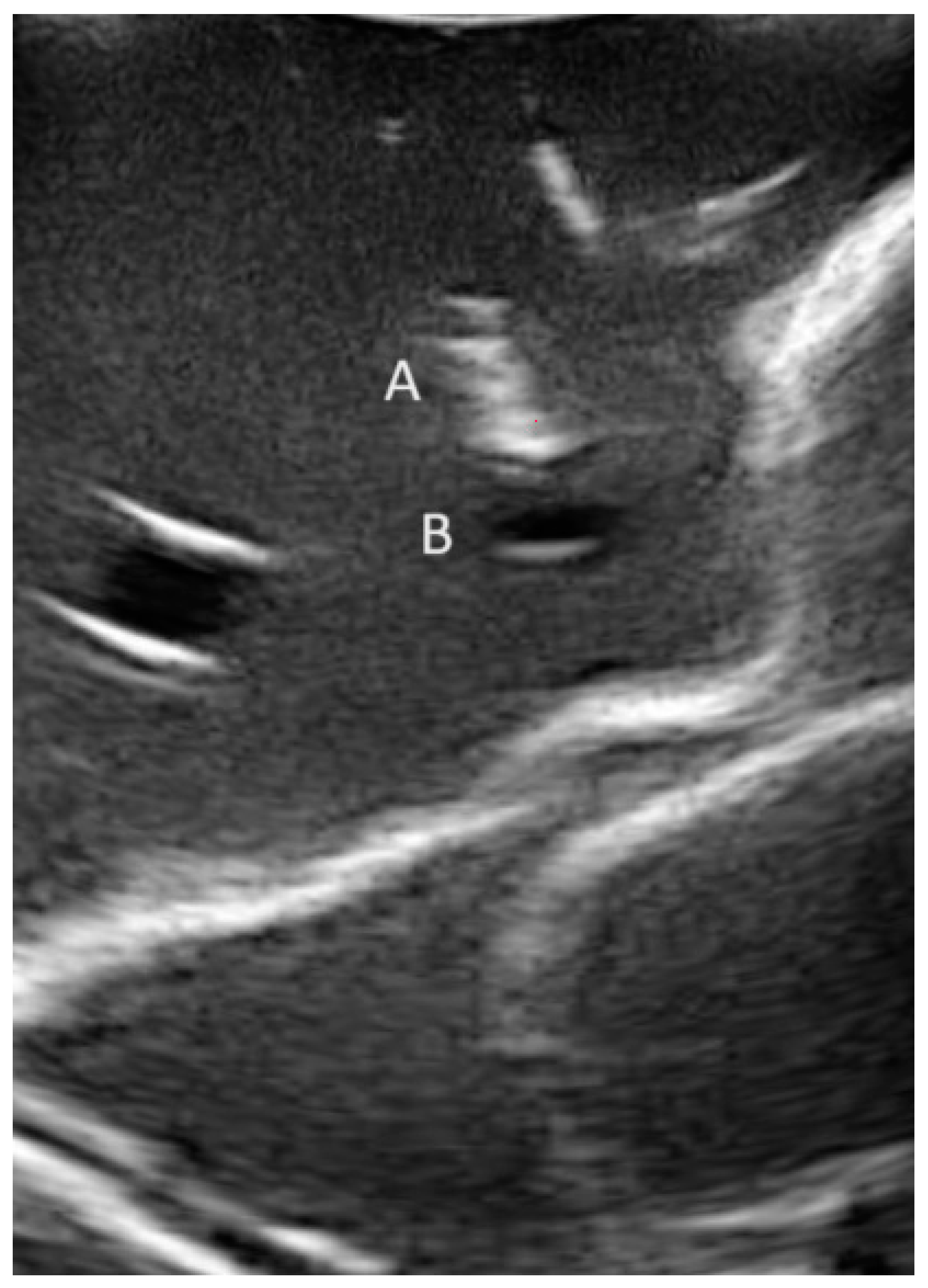 Jimaging 10 00076 g006