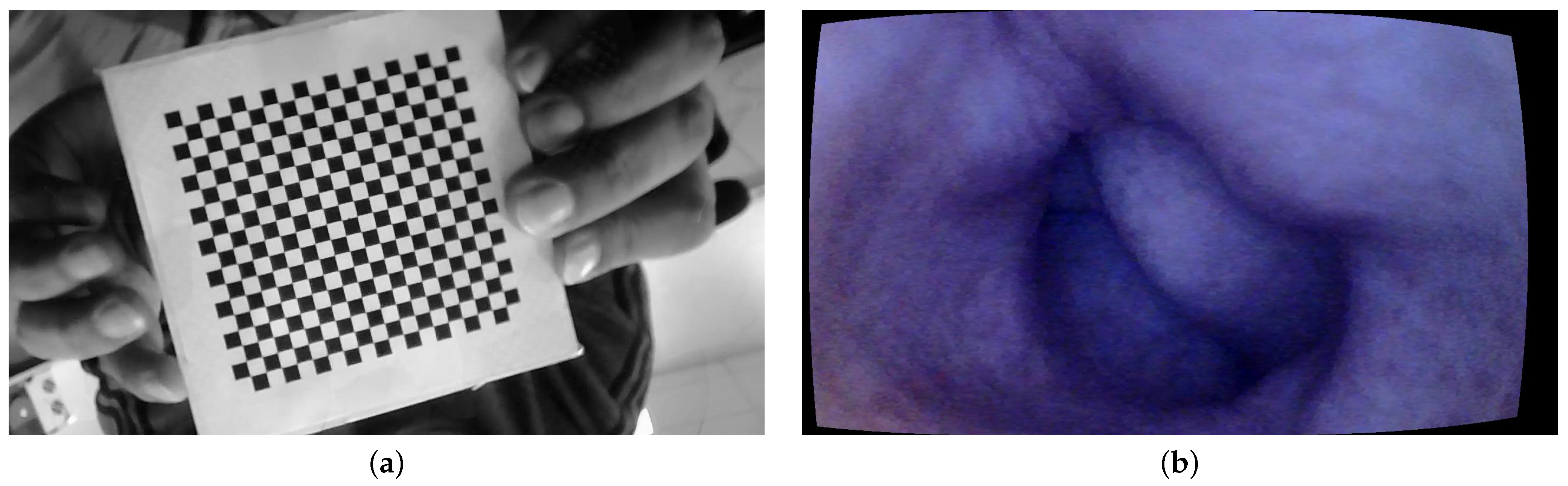 Jimaging 10 00082 g003