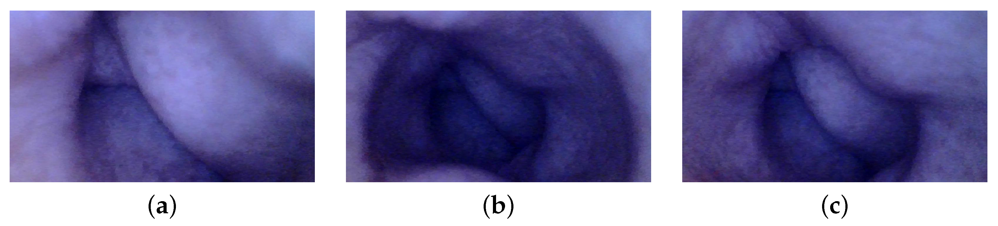 Jimaging 10 00082 g008