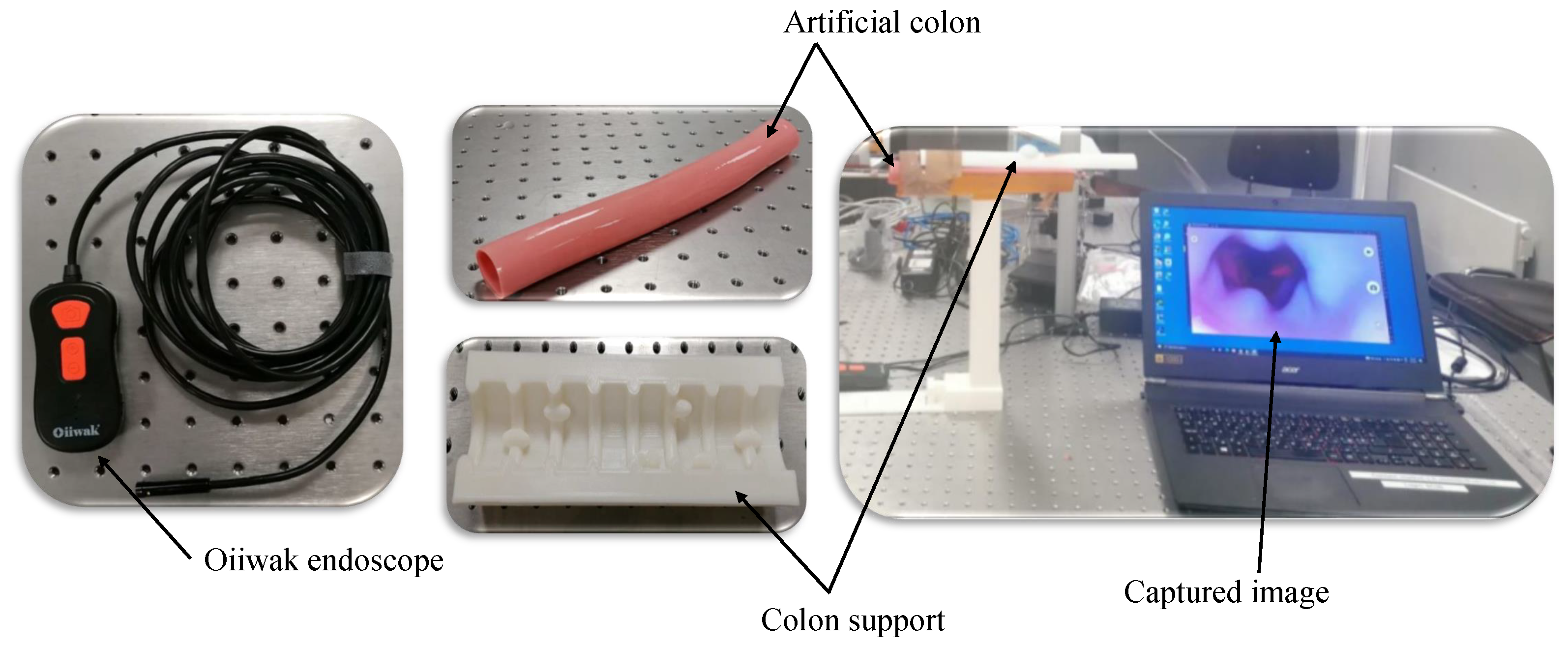 Jimaging 10 00082 g009