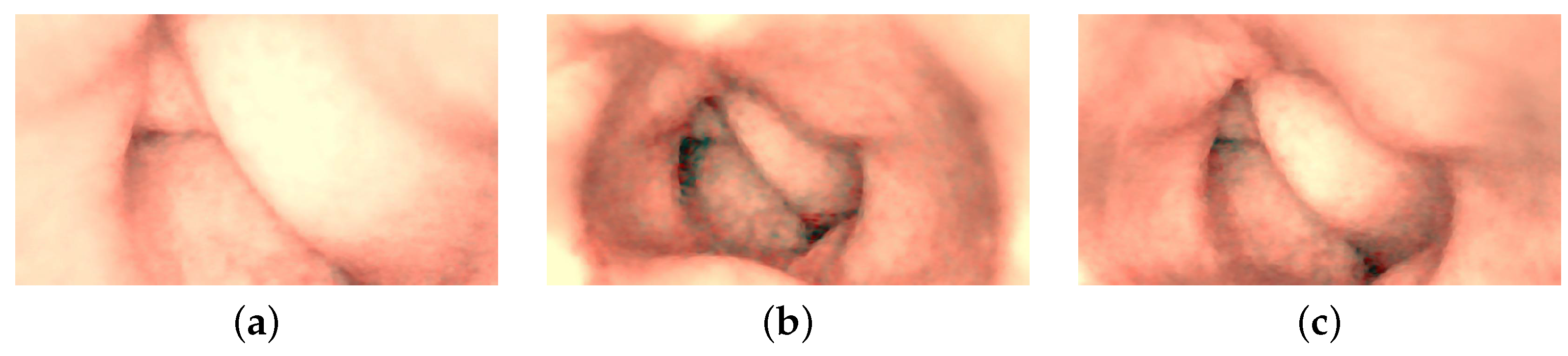 Jimaging 10 00082 g012