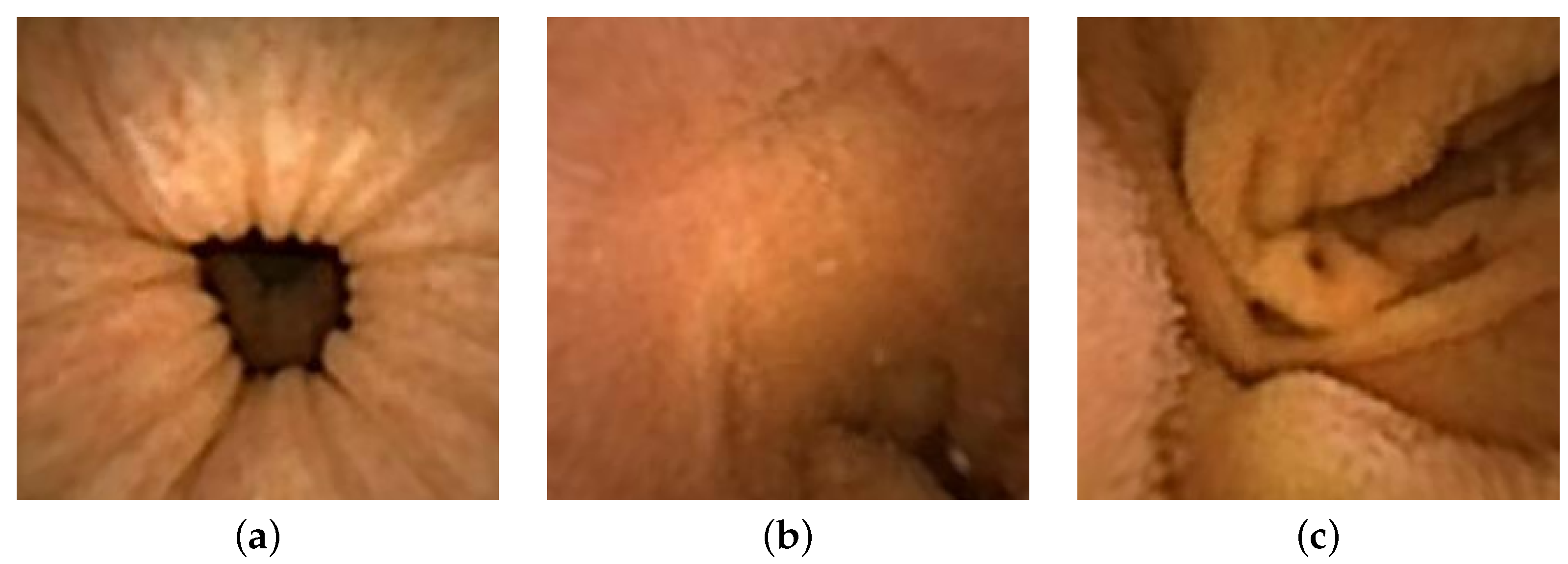 Jimaging 10 00082 g015