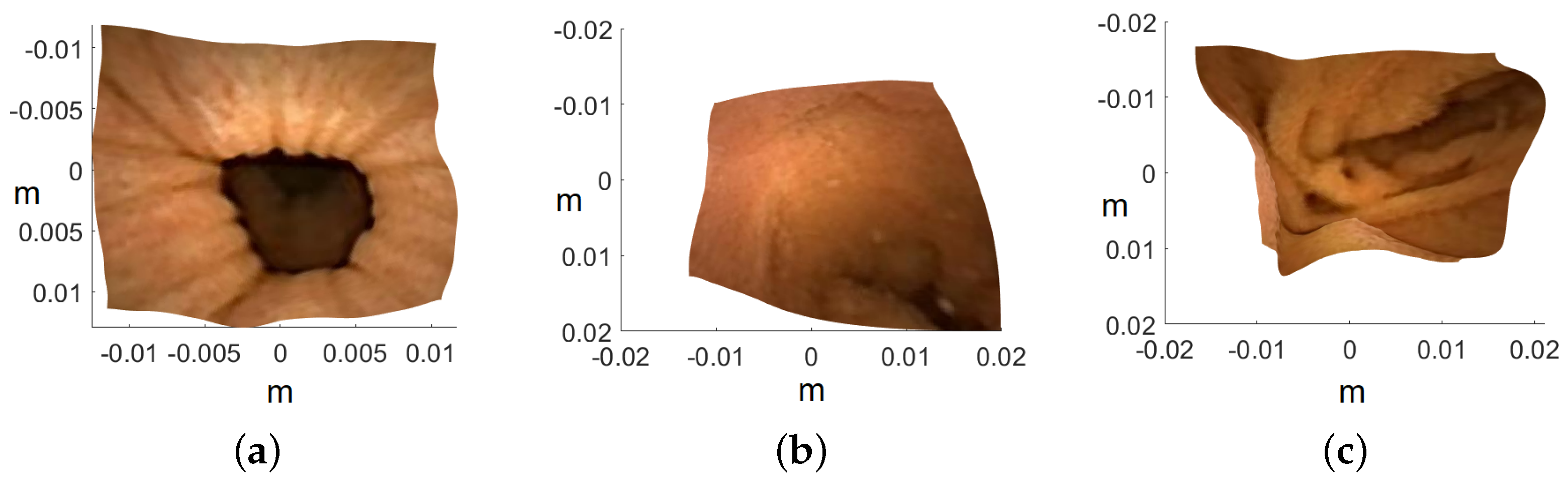 Jimaging 10 00082 g016