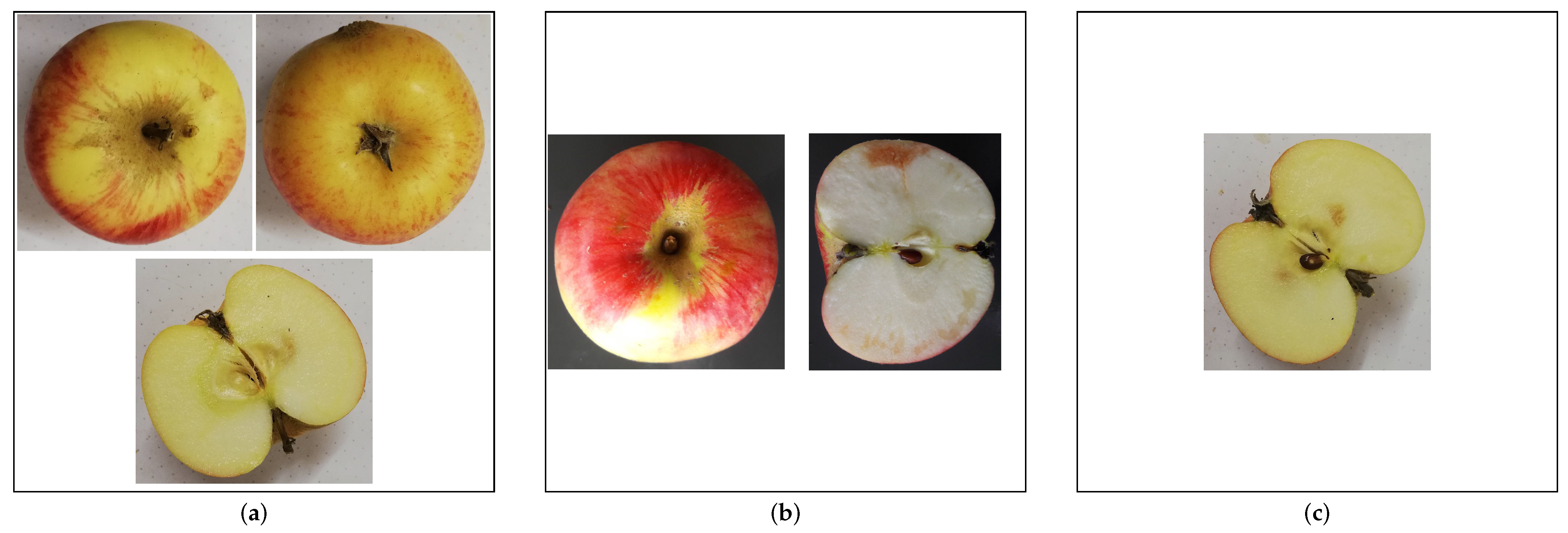 Jimaging 10 00094 g003