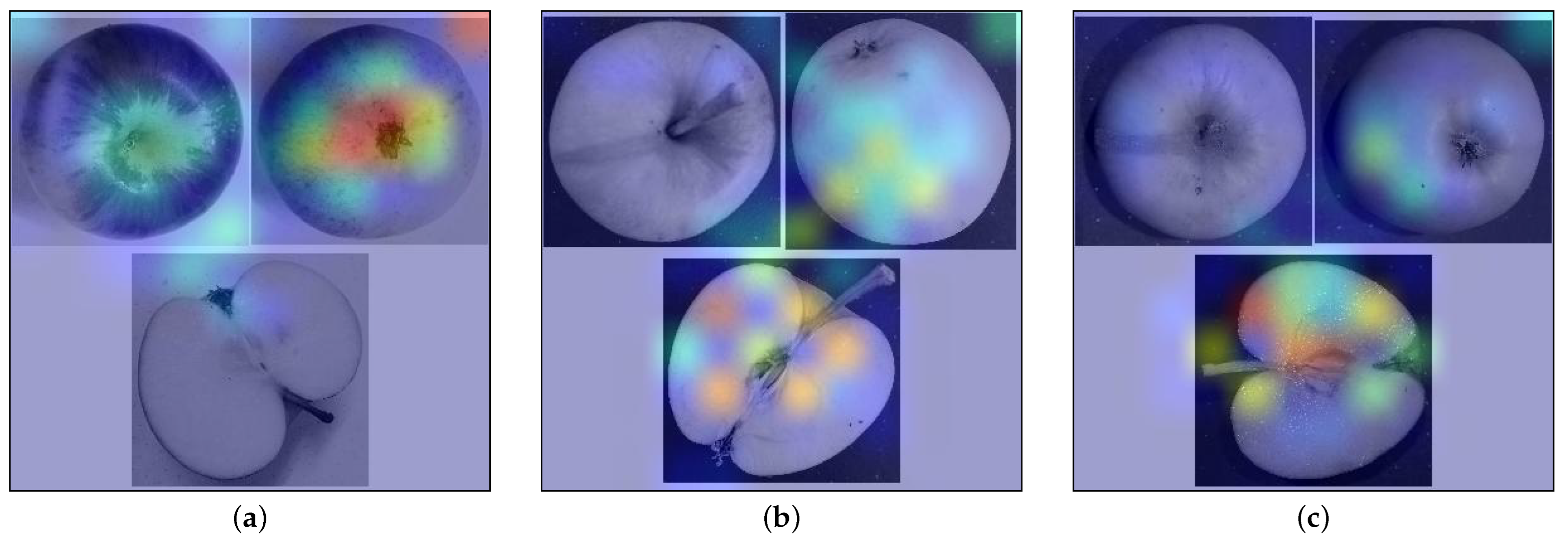 Jimaging 10 00094 g006