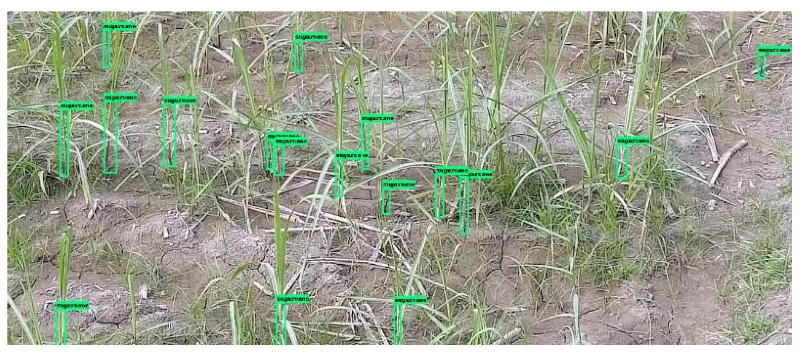 Jimaging 10 00102 g004