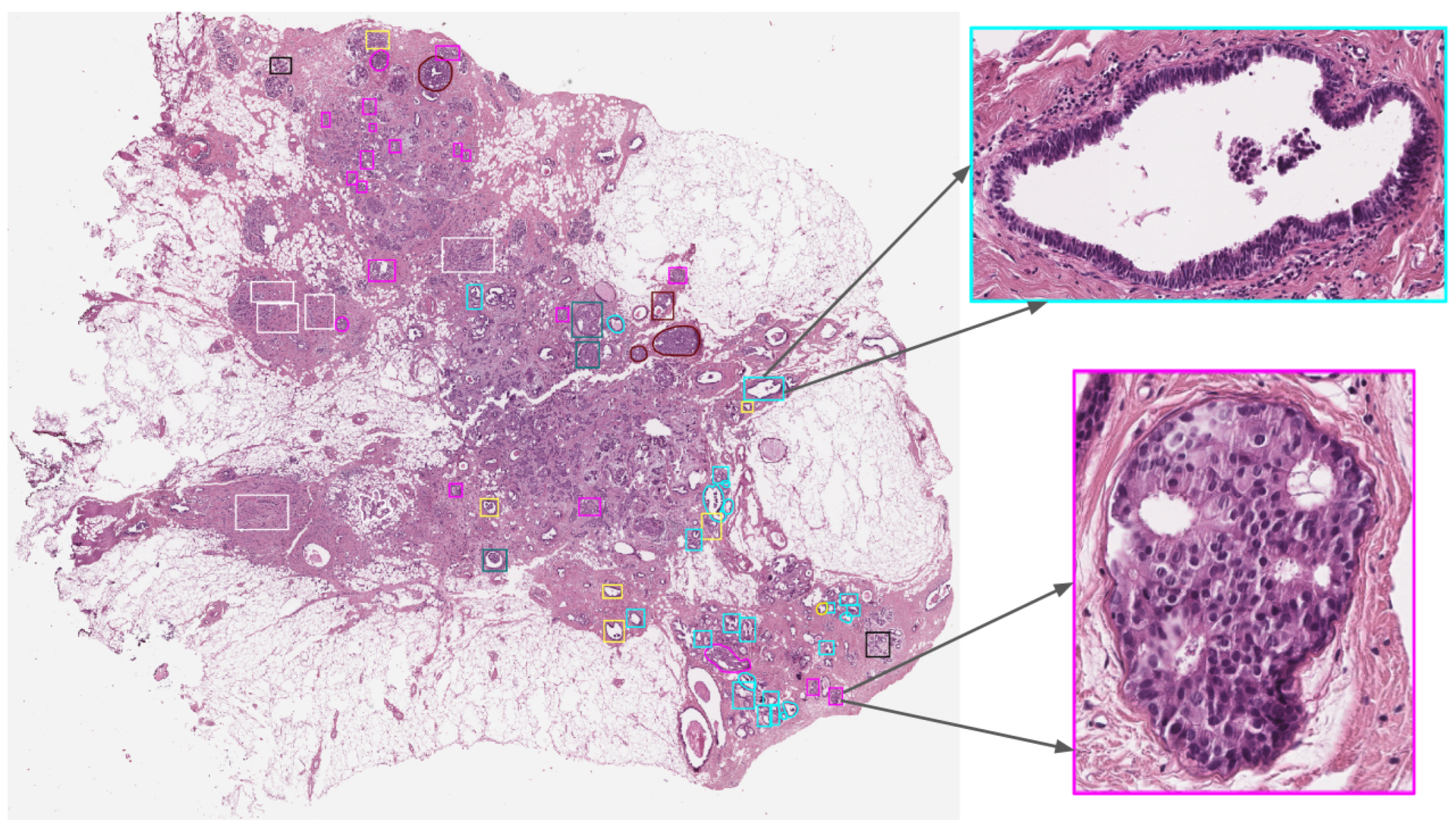 Jimaging 10 00108 g002