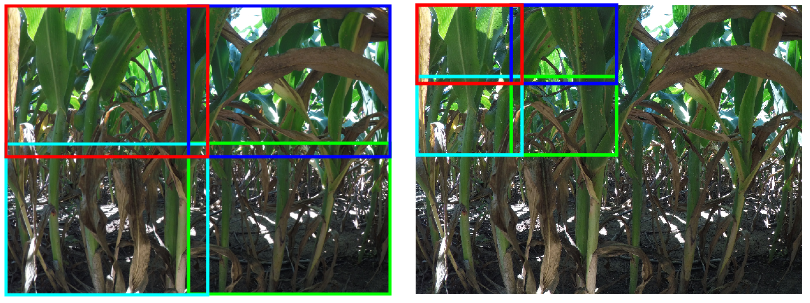 Jimaging 10 00114 g003