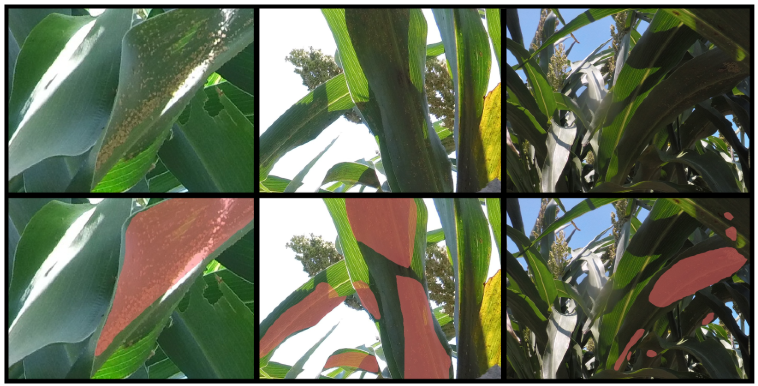 Jimaging 10 00114 g004