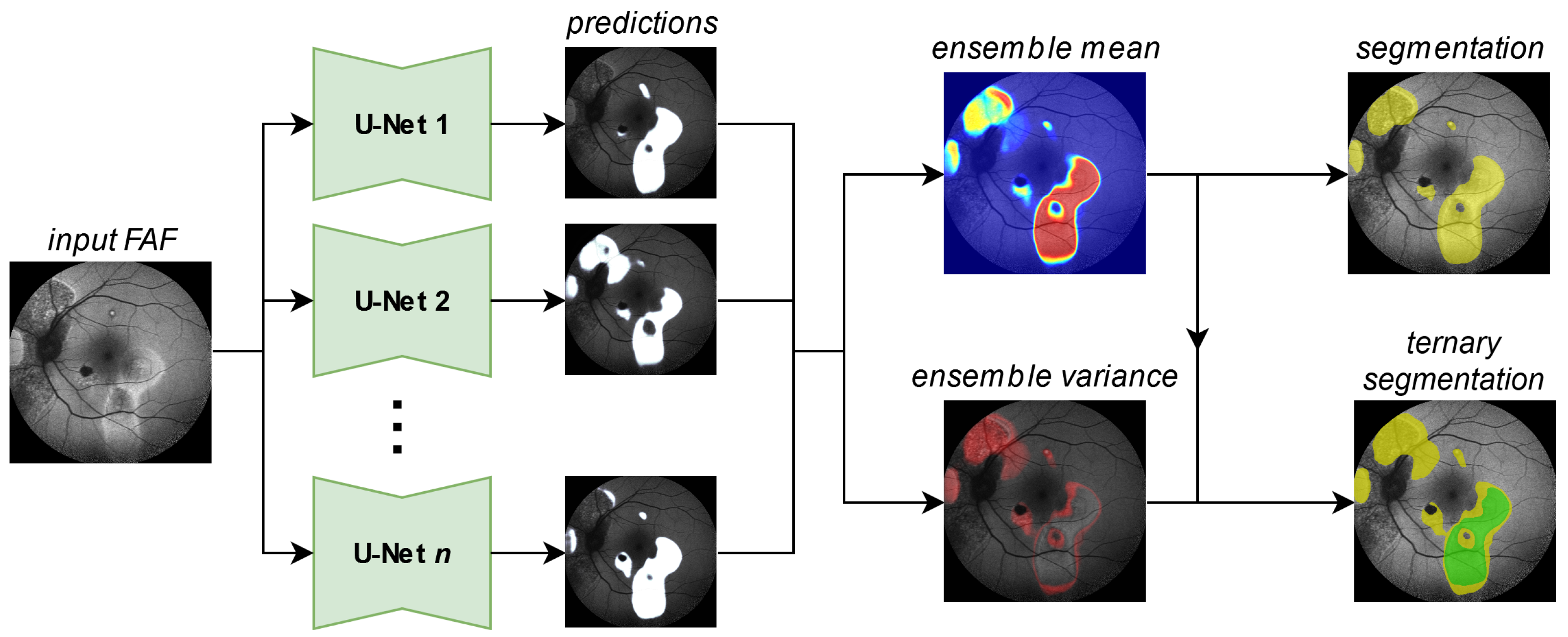 Jimaging 10 00116 g003