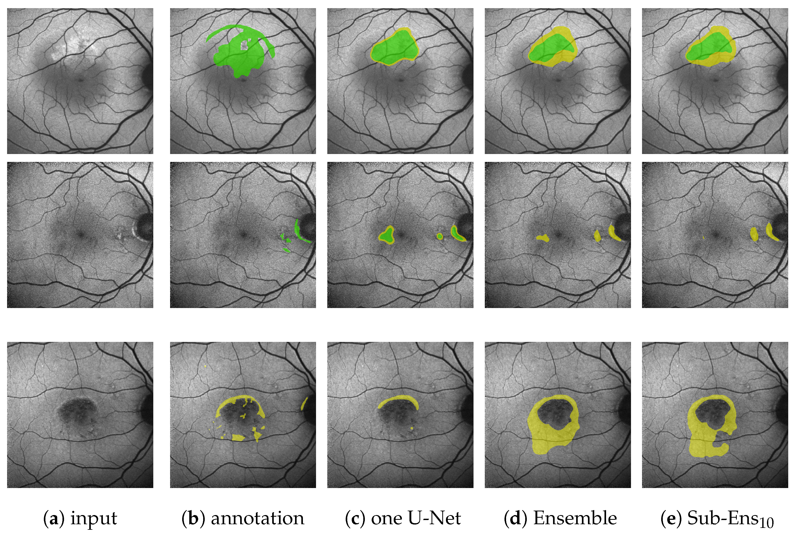 Jimaging 10 00116 g007