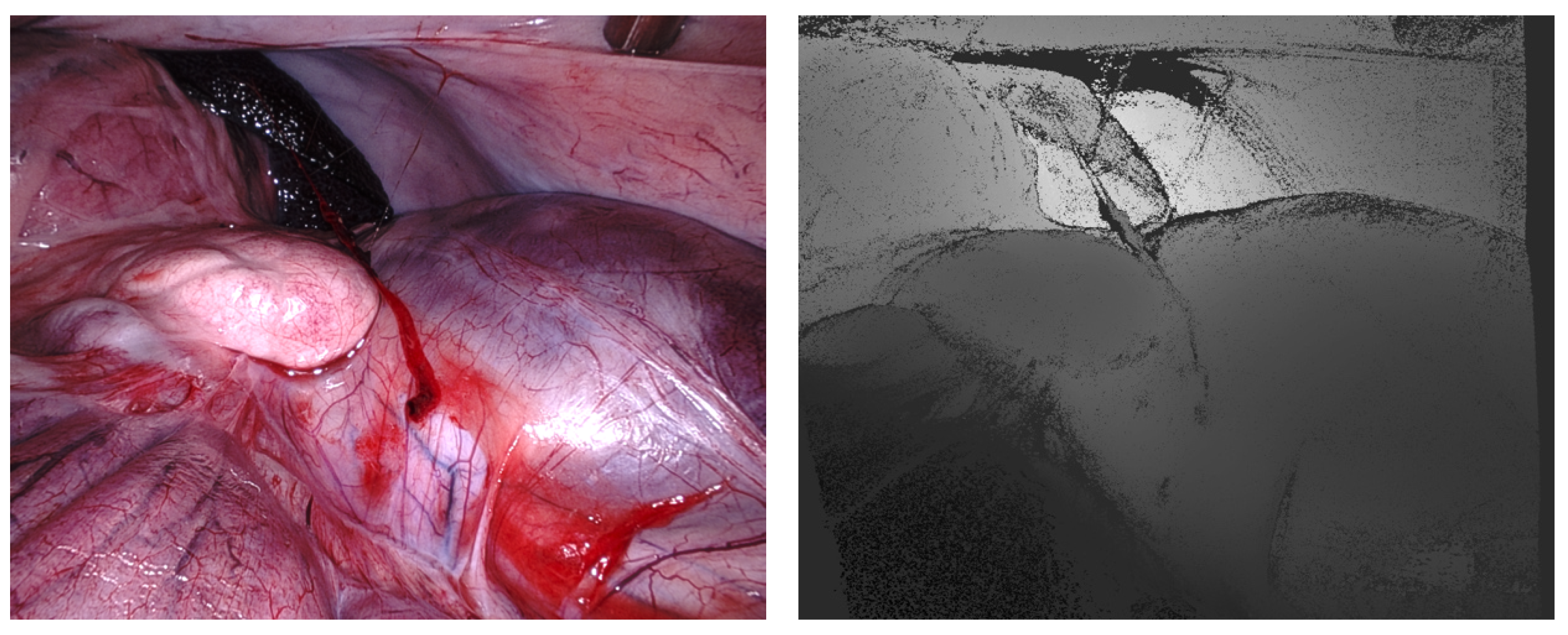 Jimaging 10 00120 g006