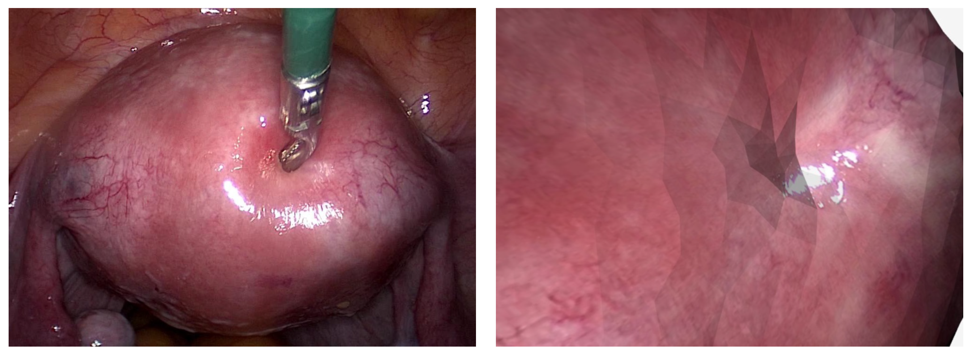 Jimaging 10 00120 g007