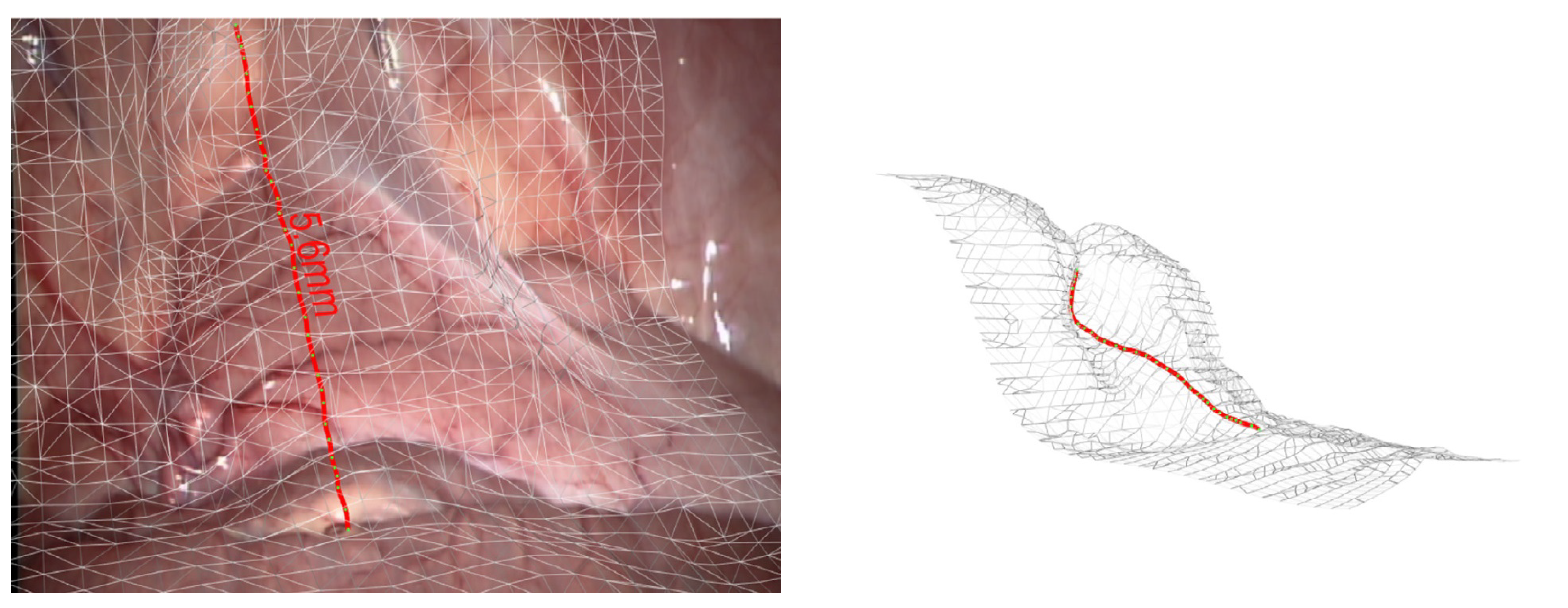 Jimaging 10 00120 g008