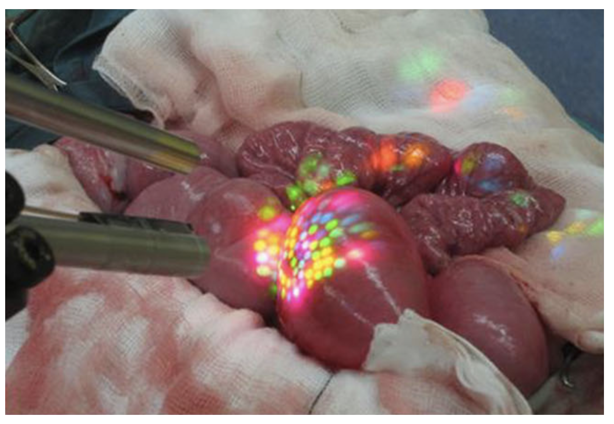 Jimaging 10 00120 g009