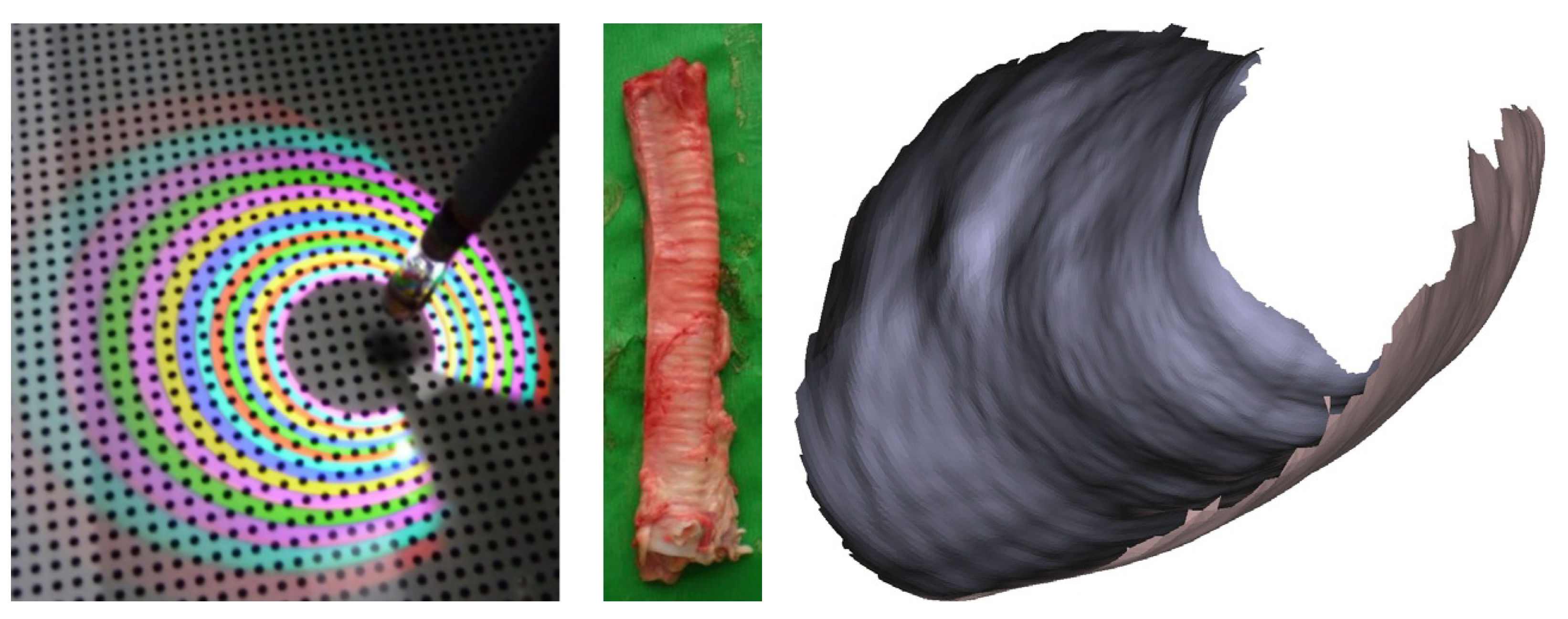 Jimaging 10 00120 g010