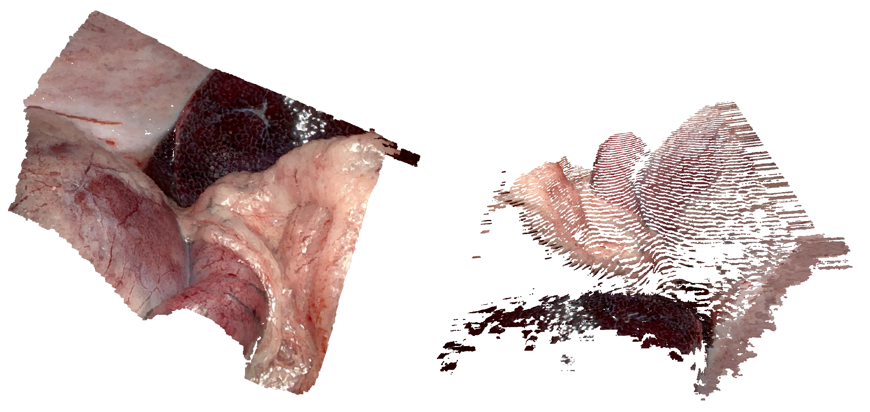 Jimaging 10 00120 g014