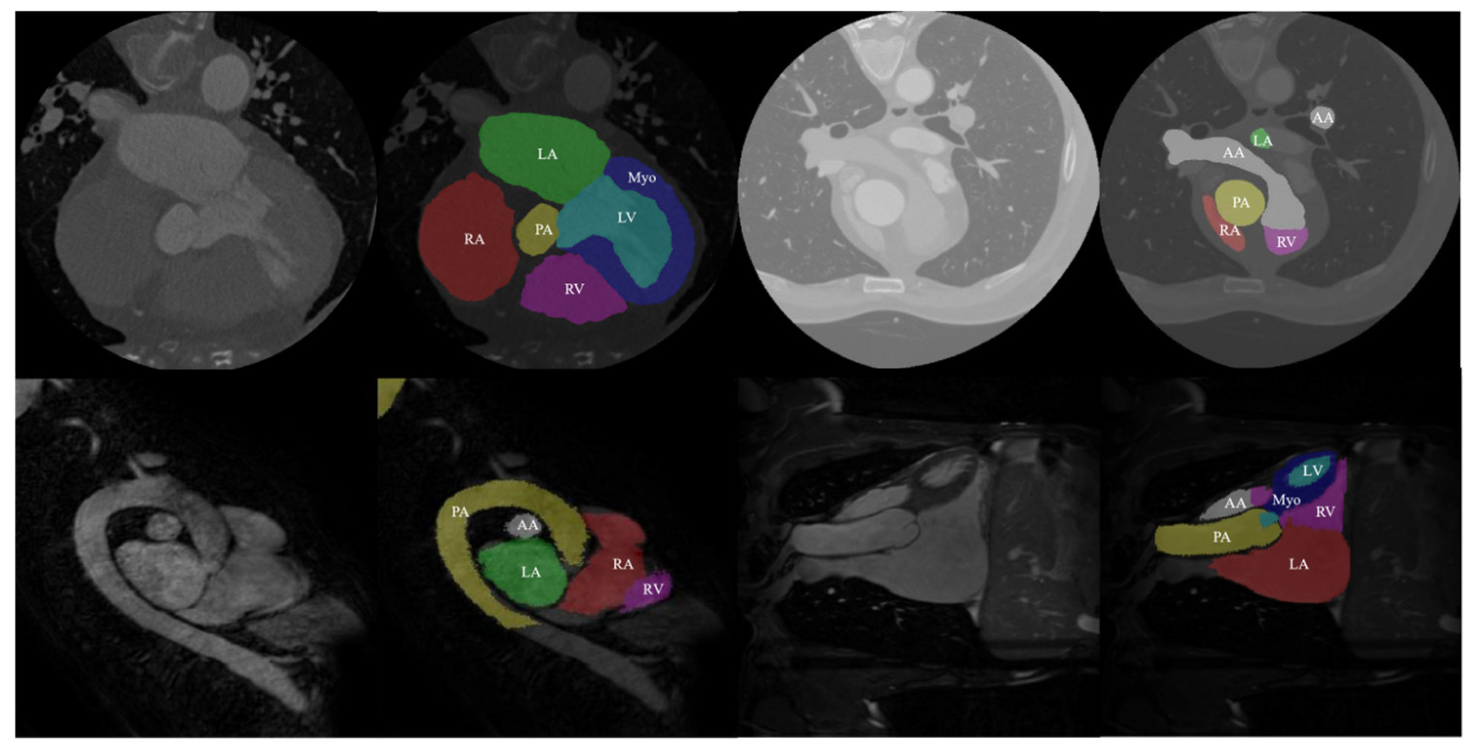Jimaging 10 00135 g006