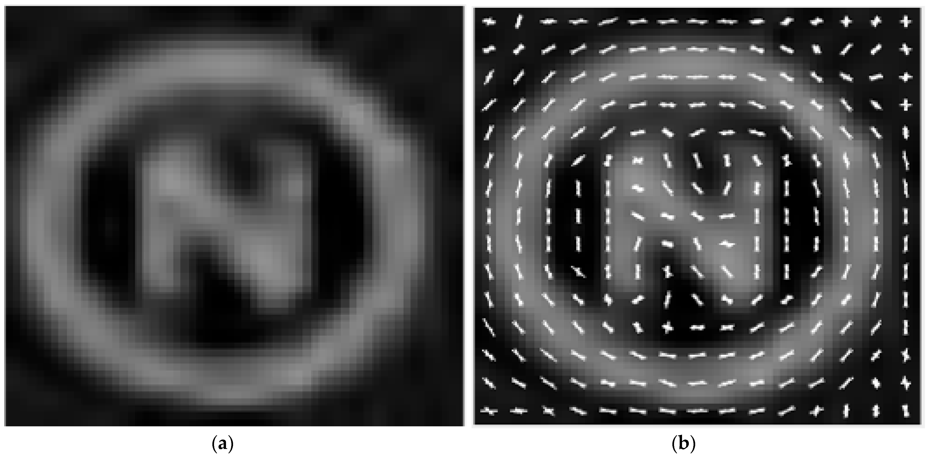 Jimaging 10 00142 g006