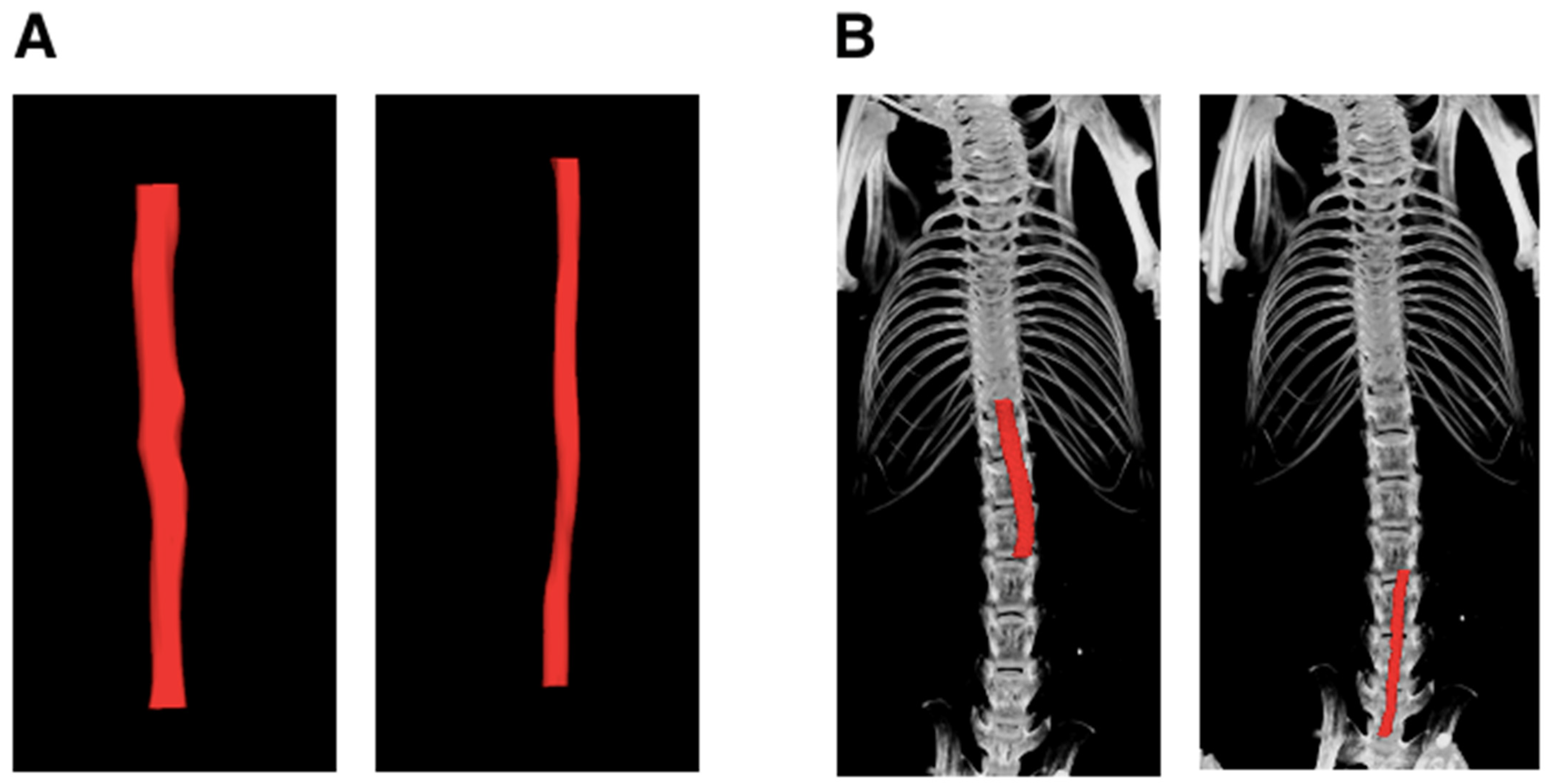 Jimaging 10 00145 g005