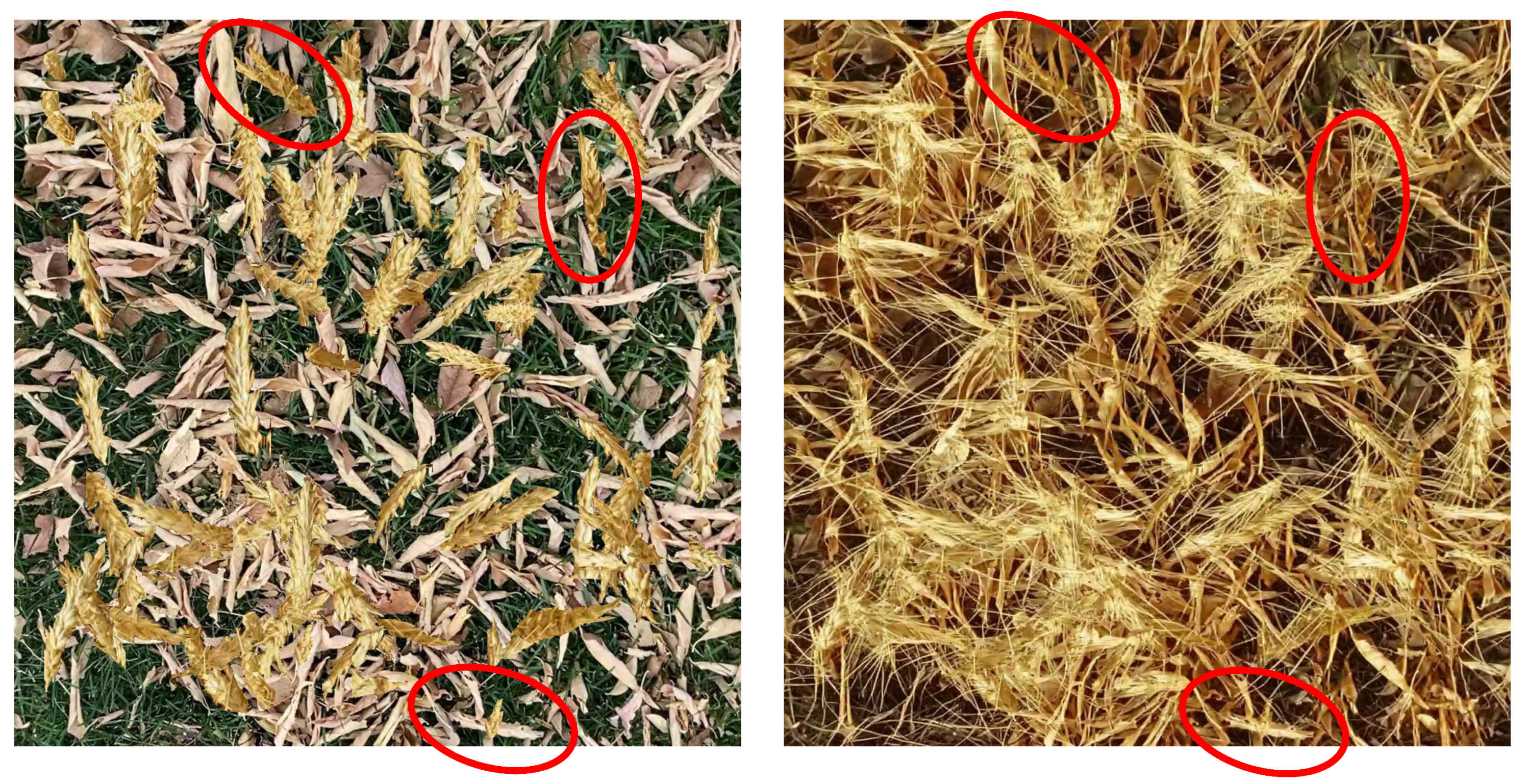 Jimaging 10 00152 g006