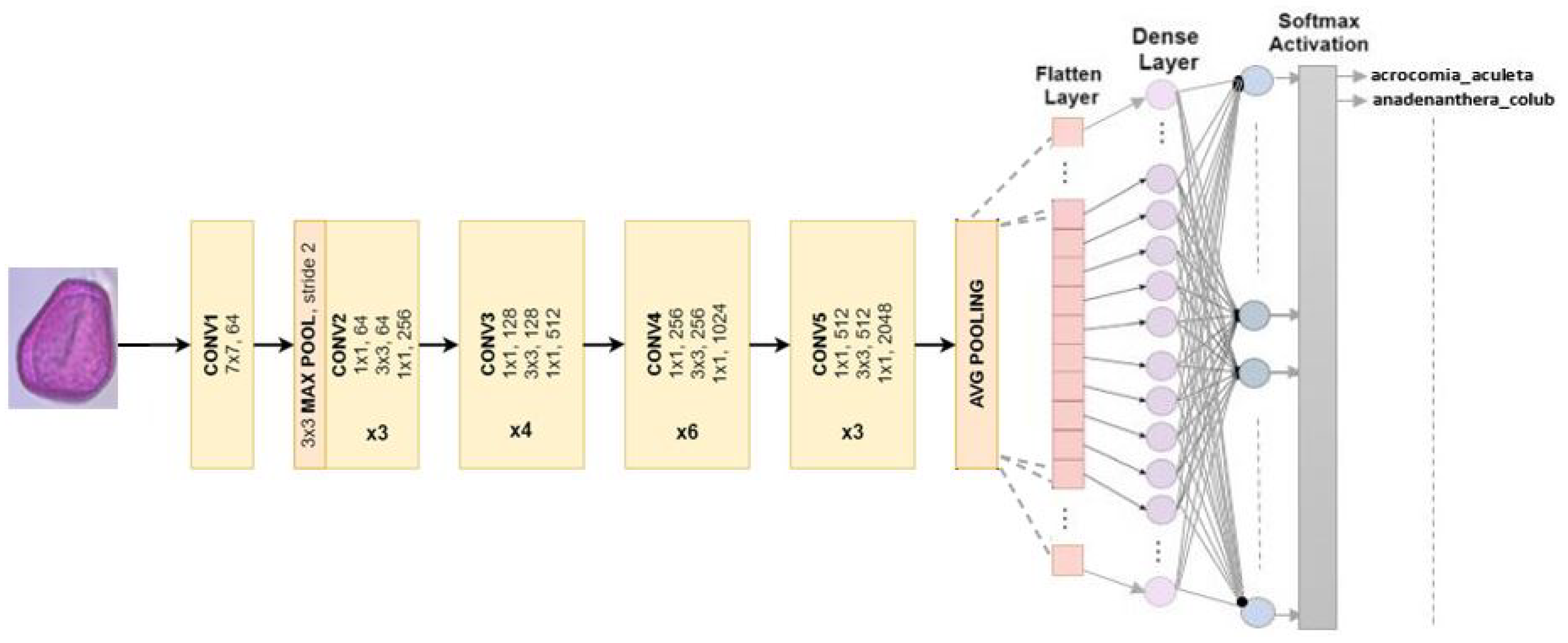 Jimaging 10 00158 g006