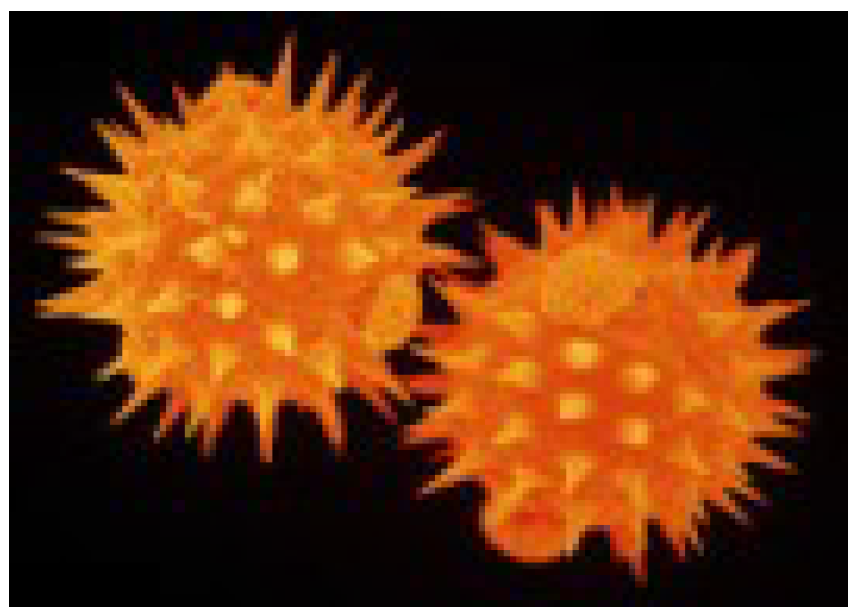 Jimaging 10 00158 g0a9