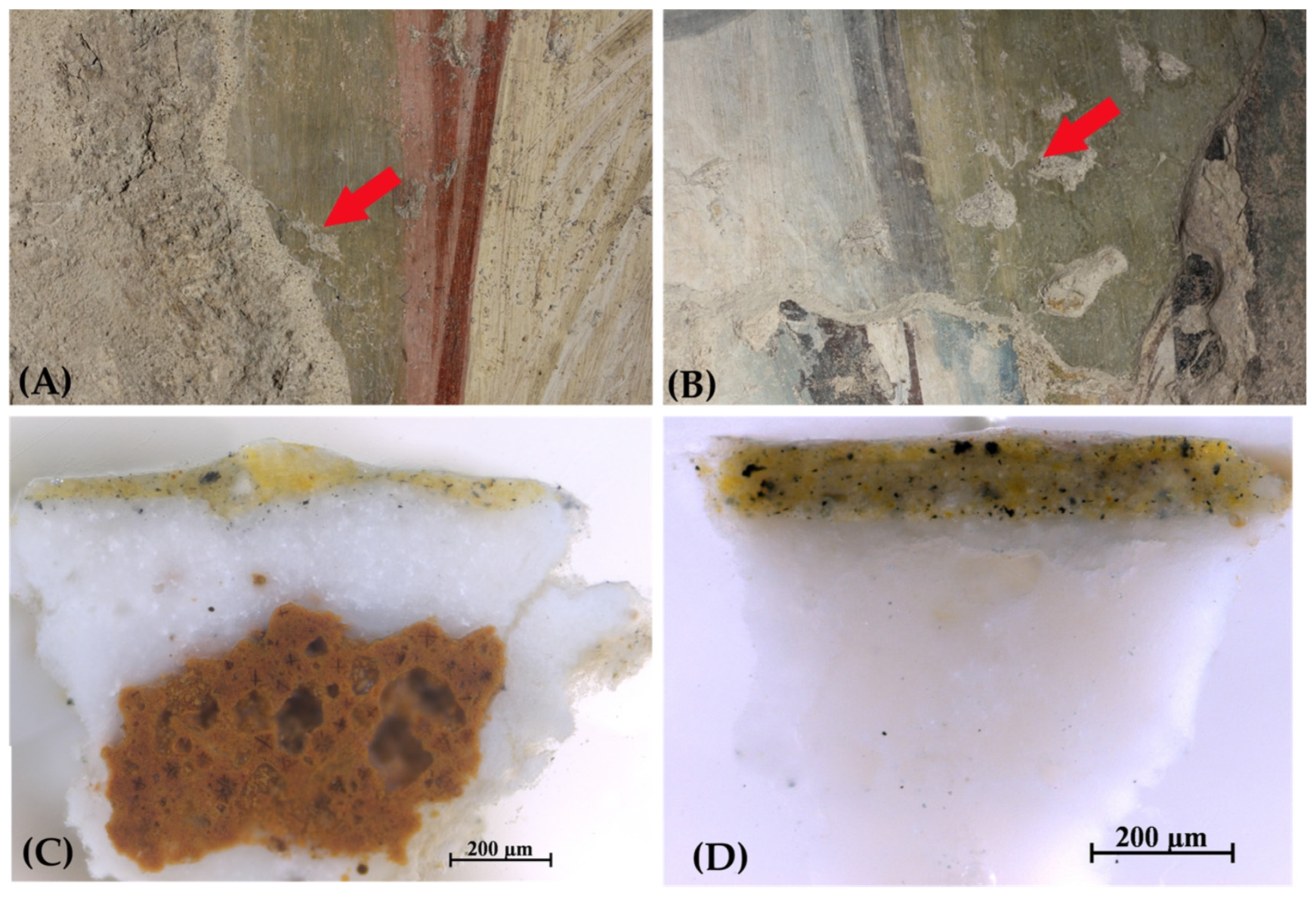 Jimaging 10 00159 g011 Jimaging 10 00159 g011