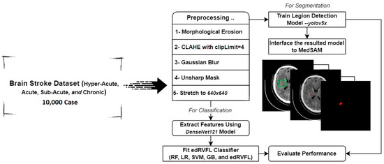 Hybrid Ensemble Deep Learning Model for Advancing Ischemic Brain 