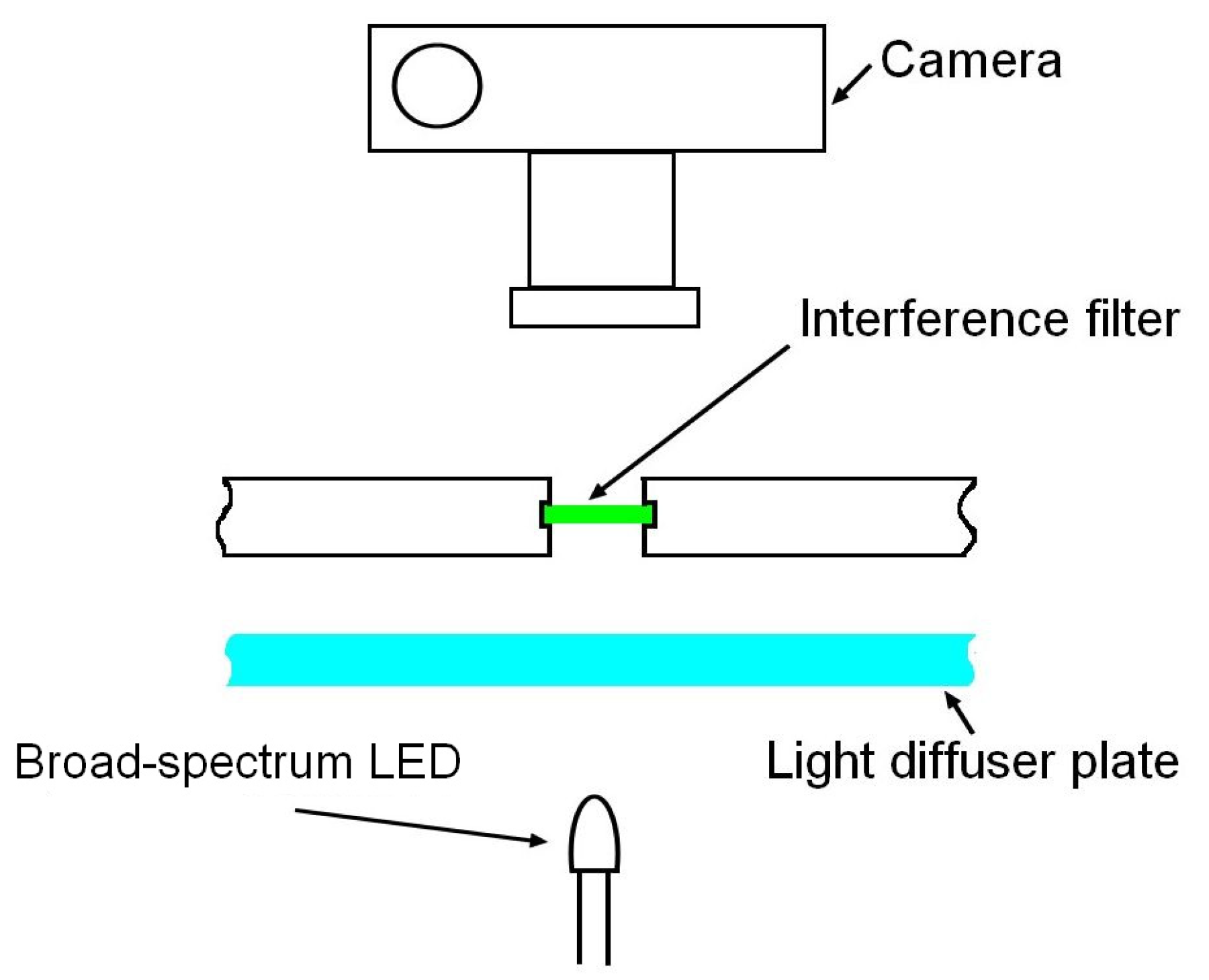 Jimaging 10 00169 g004