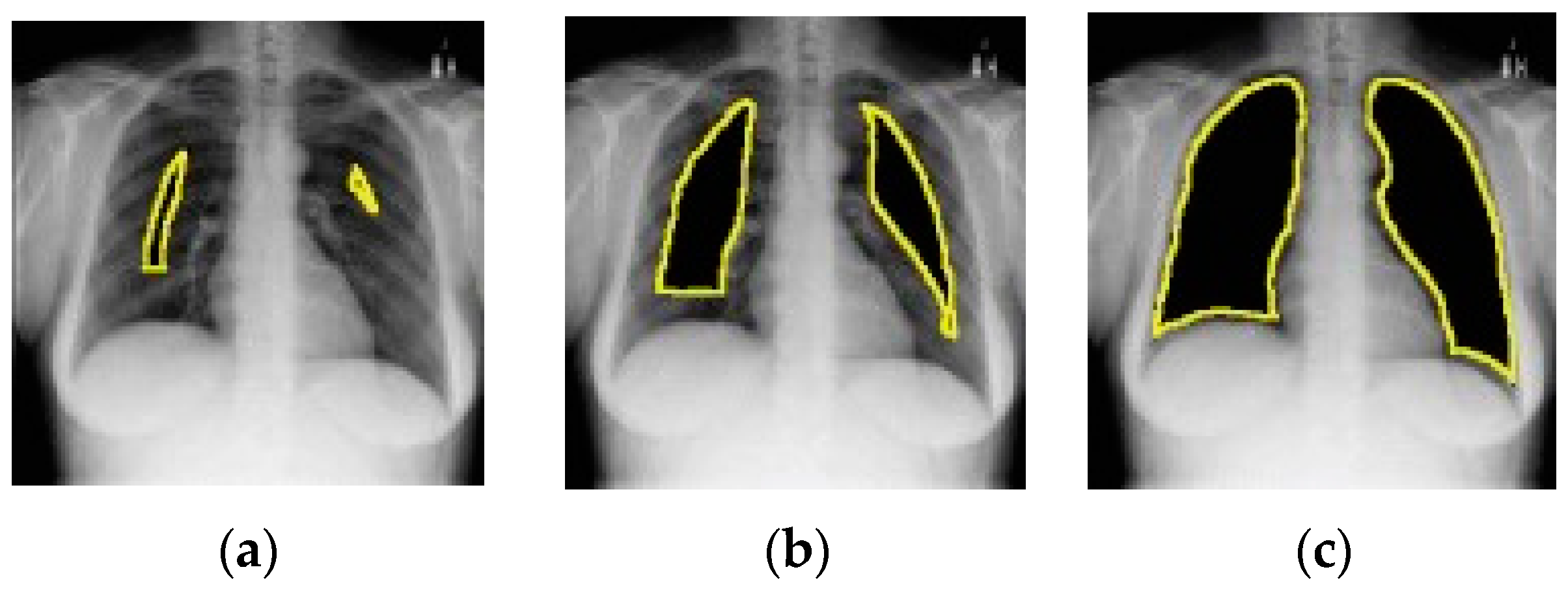 Jimaging 10 00176 g014