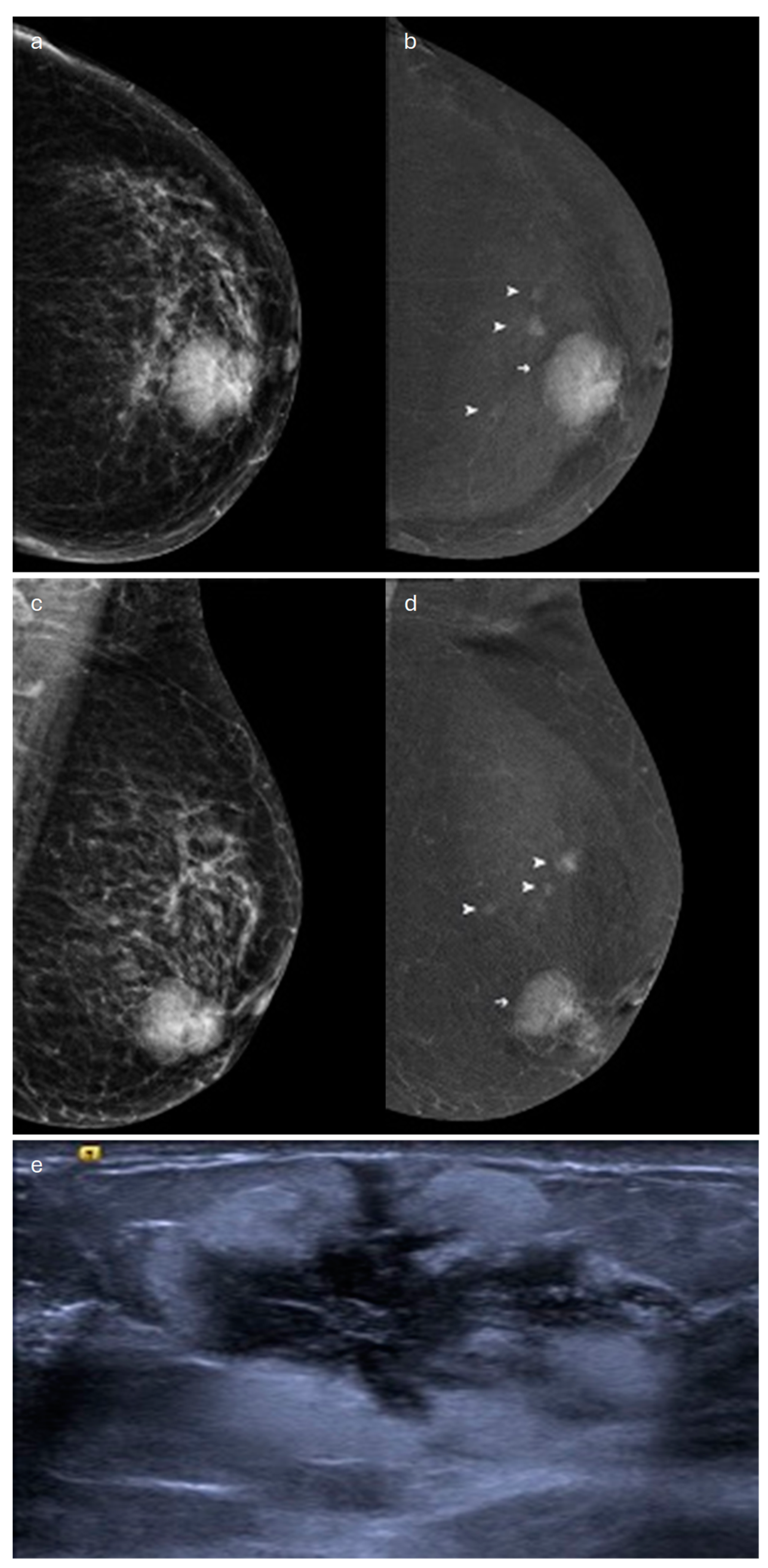 Jimaging 10 00182 g002