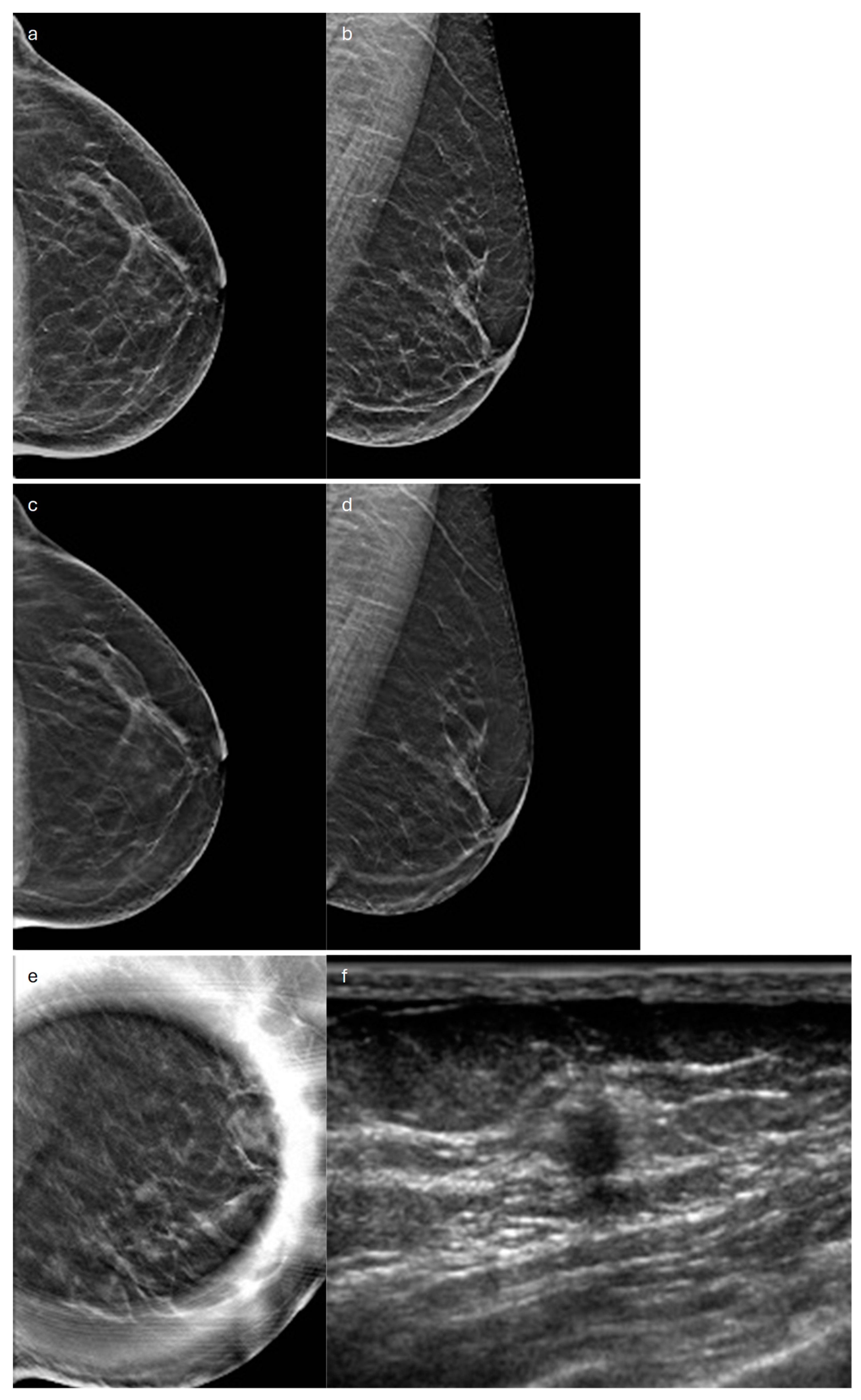 Jimaging 10 00182 g003
