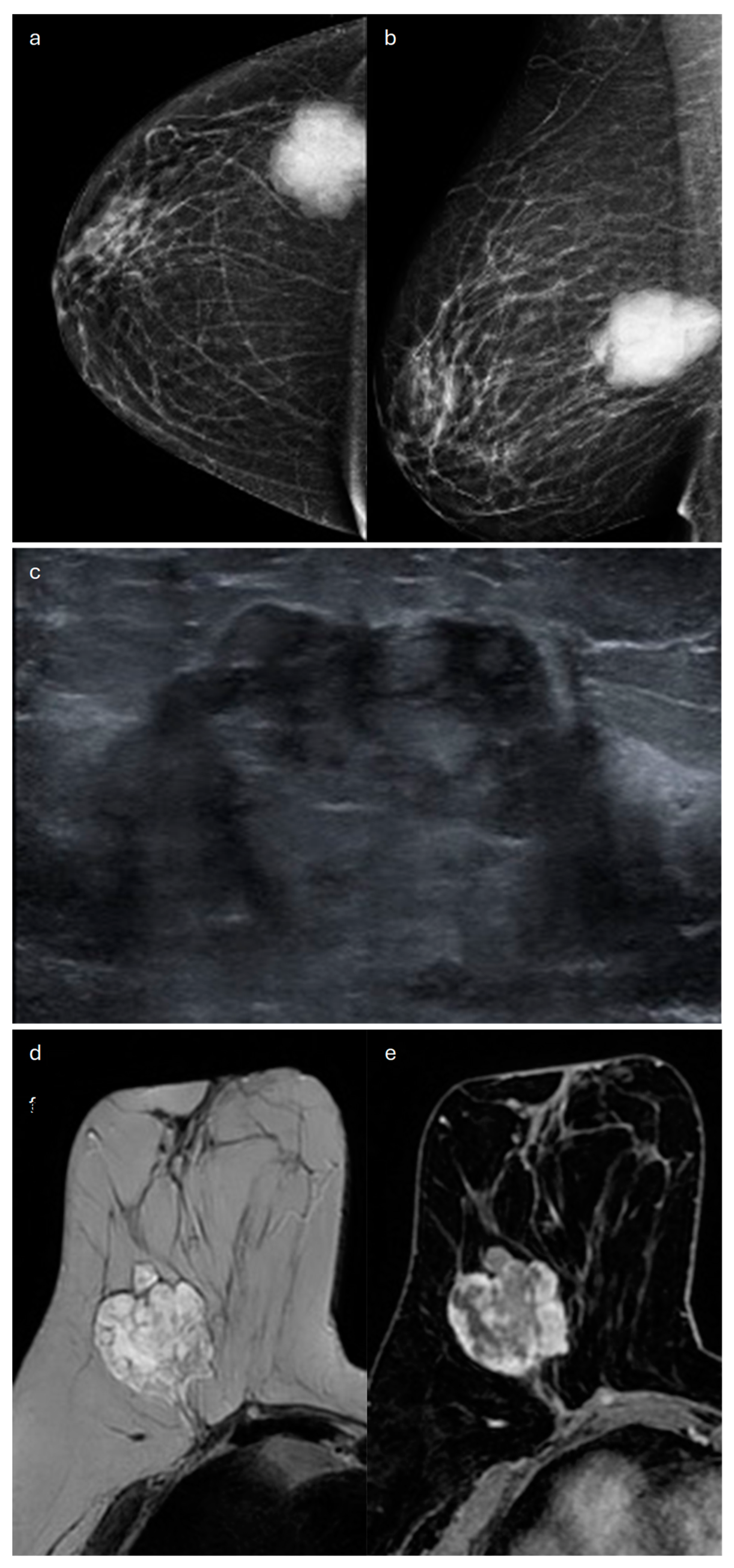 Jimaging 10 00182 g004